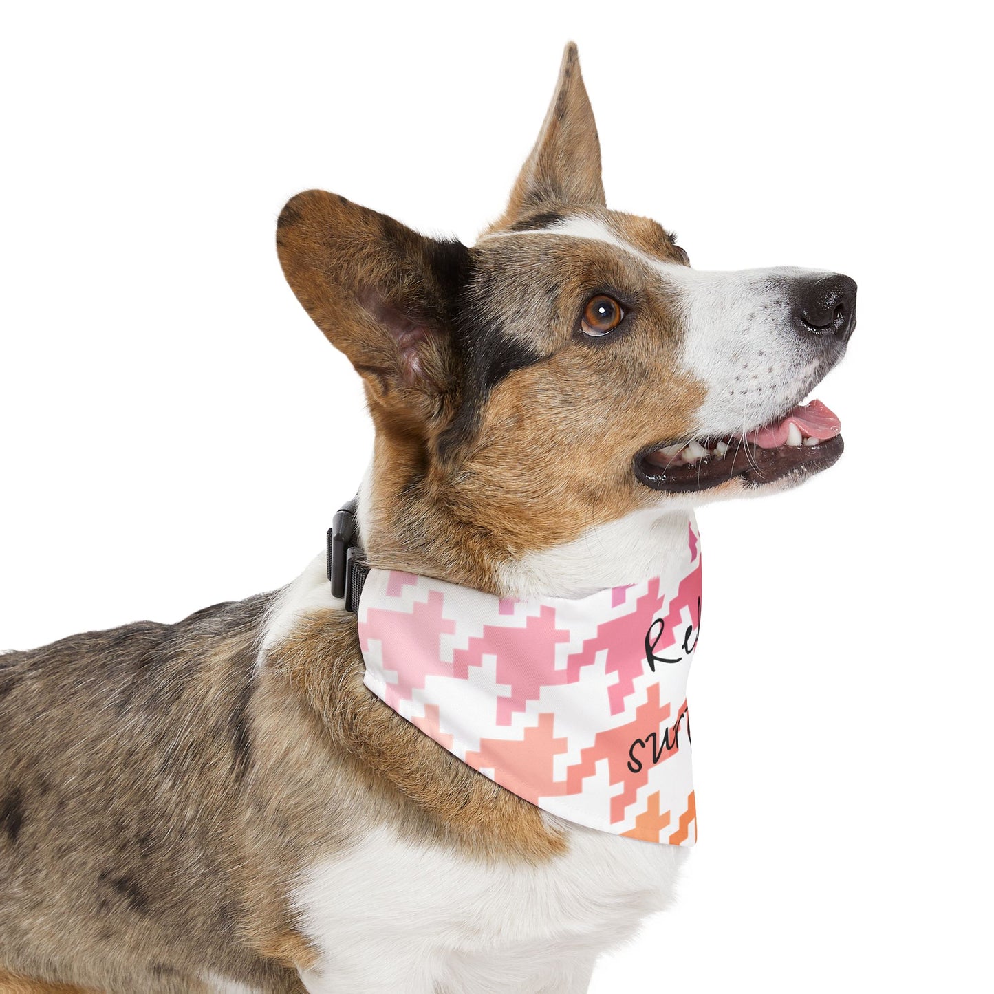 Pet Bandana Relish surprise