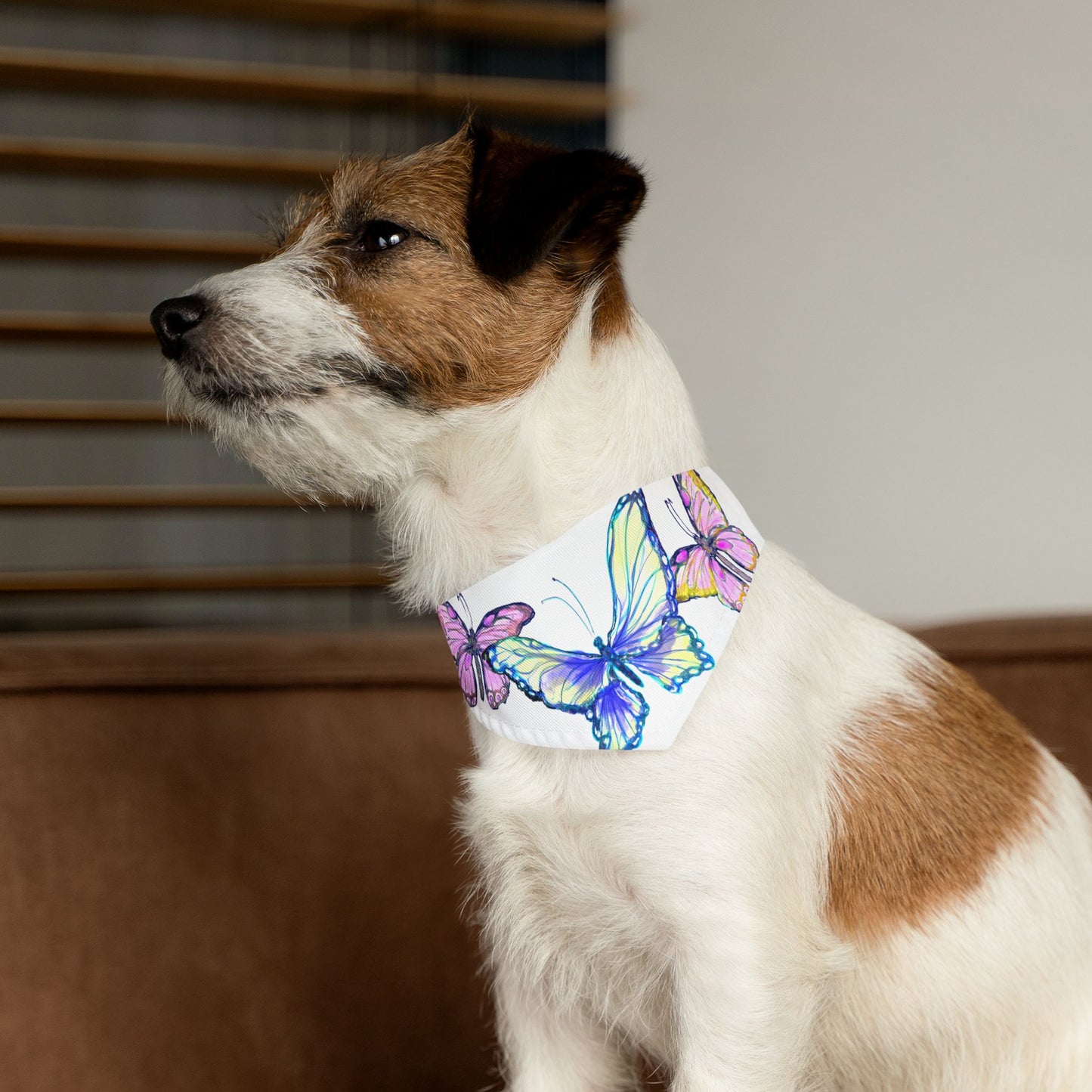 Pet Bandana Collar Colorful Flutter Charm