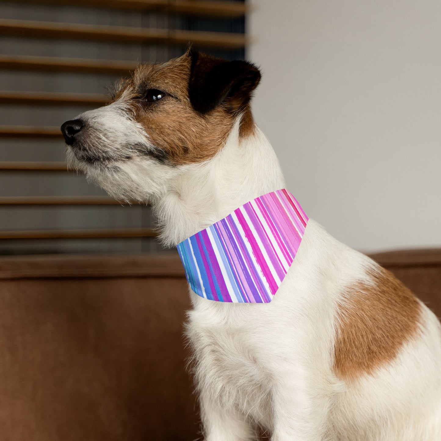 Pet Bandana Collar Dog Fun
