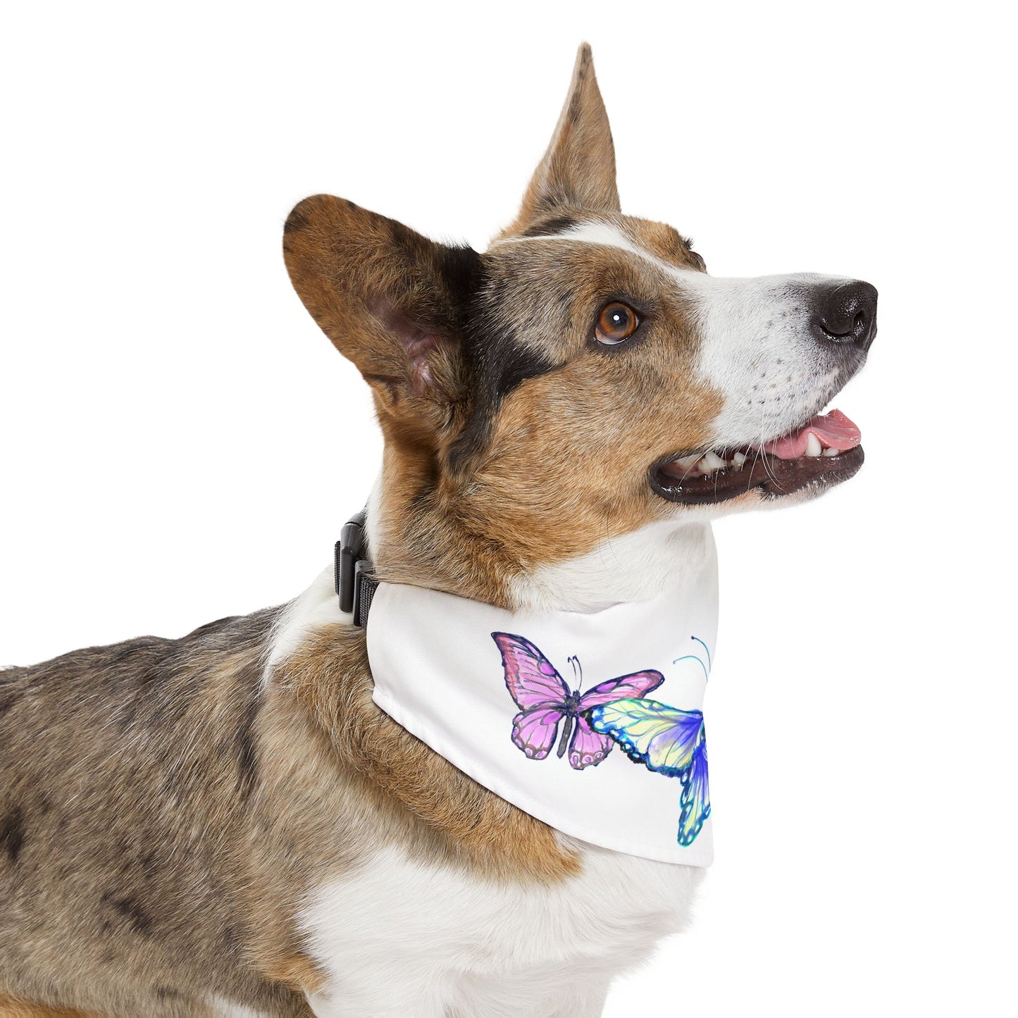 Pet Bandana Collar Colorful Flutter Charm