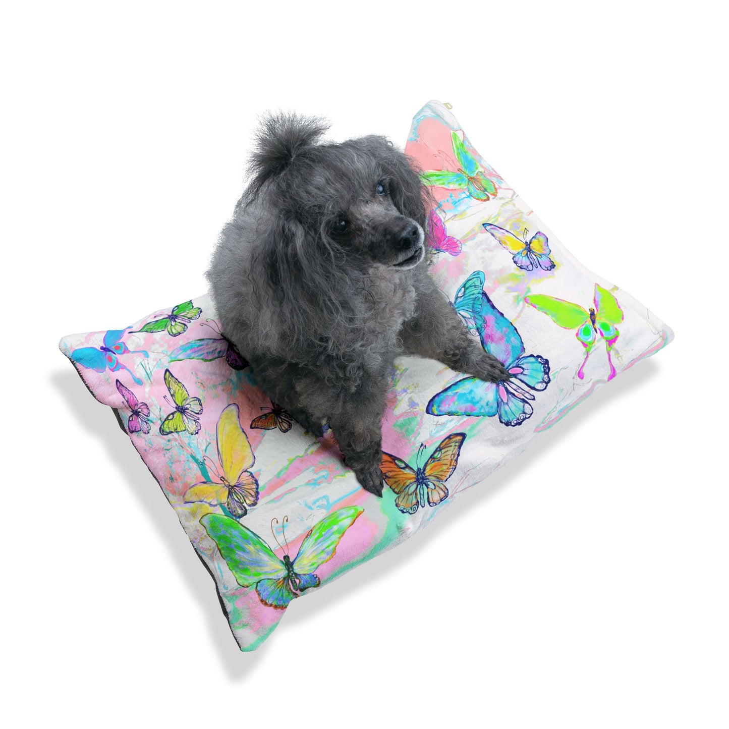 Jive Pet Bed Colorful Butterflies