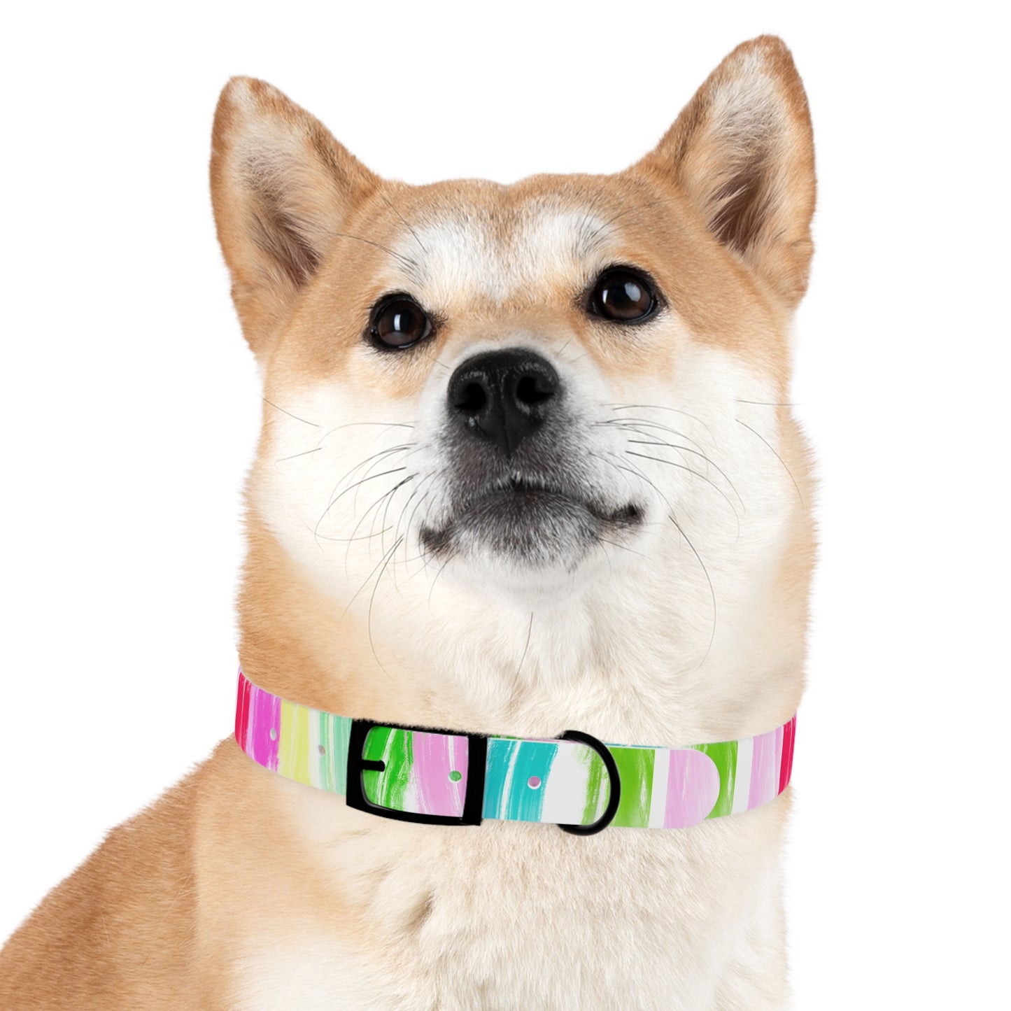 Dog Collars Watercolor Swoosh