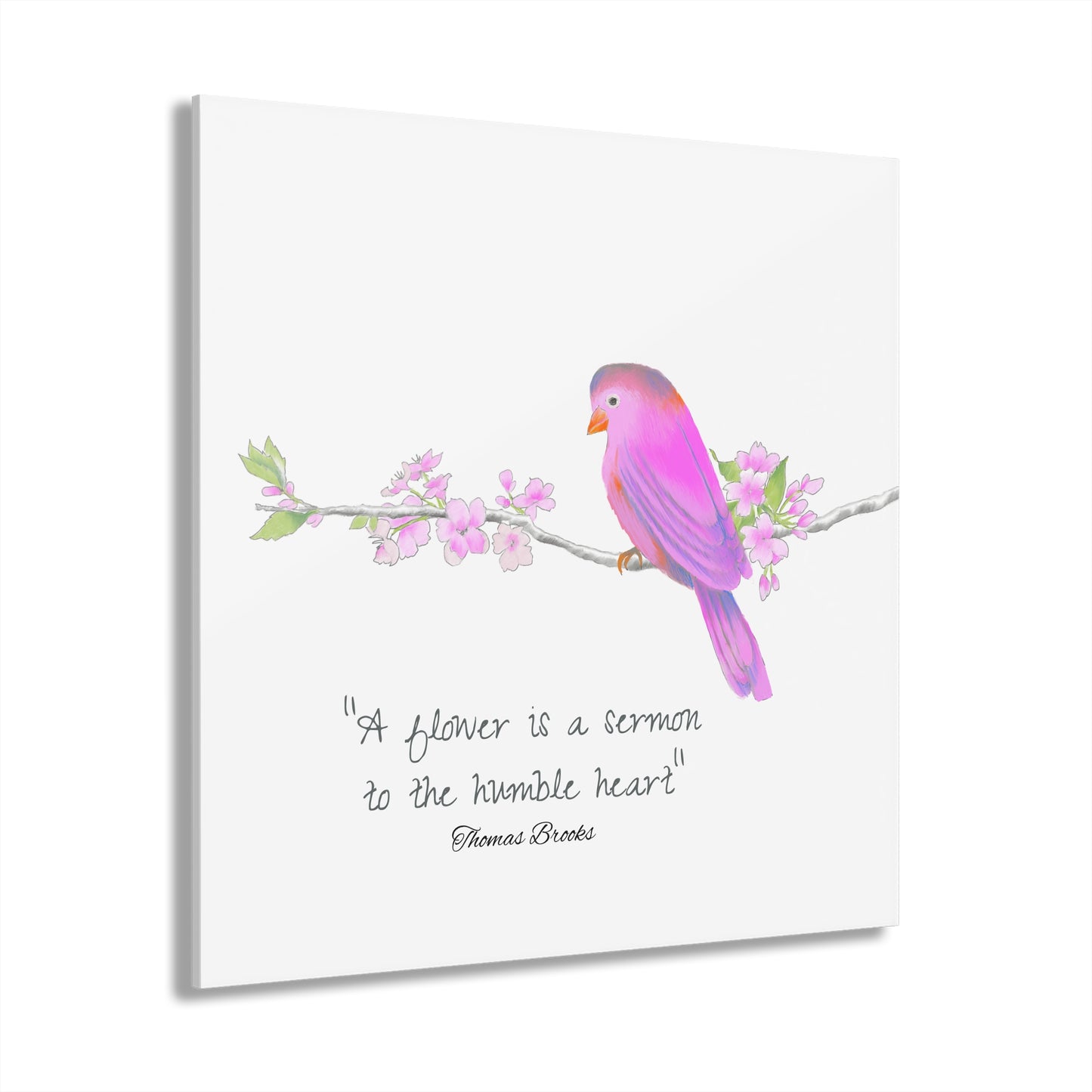 Jolly Birds Acrylic Prints (French Cleat Hanging) Pink "A flower is a sermon..."
