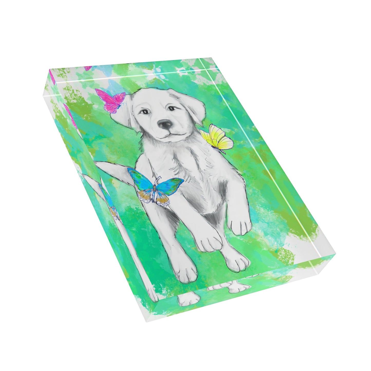 Dogi Flutter Acrylic Block