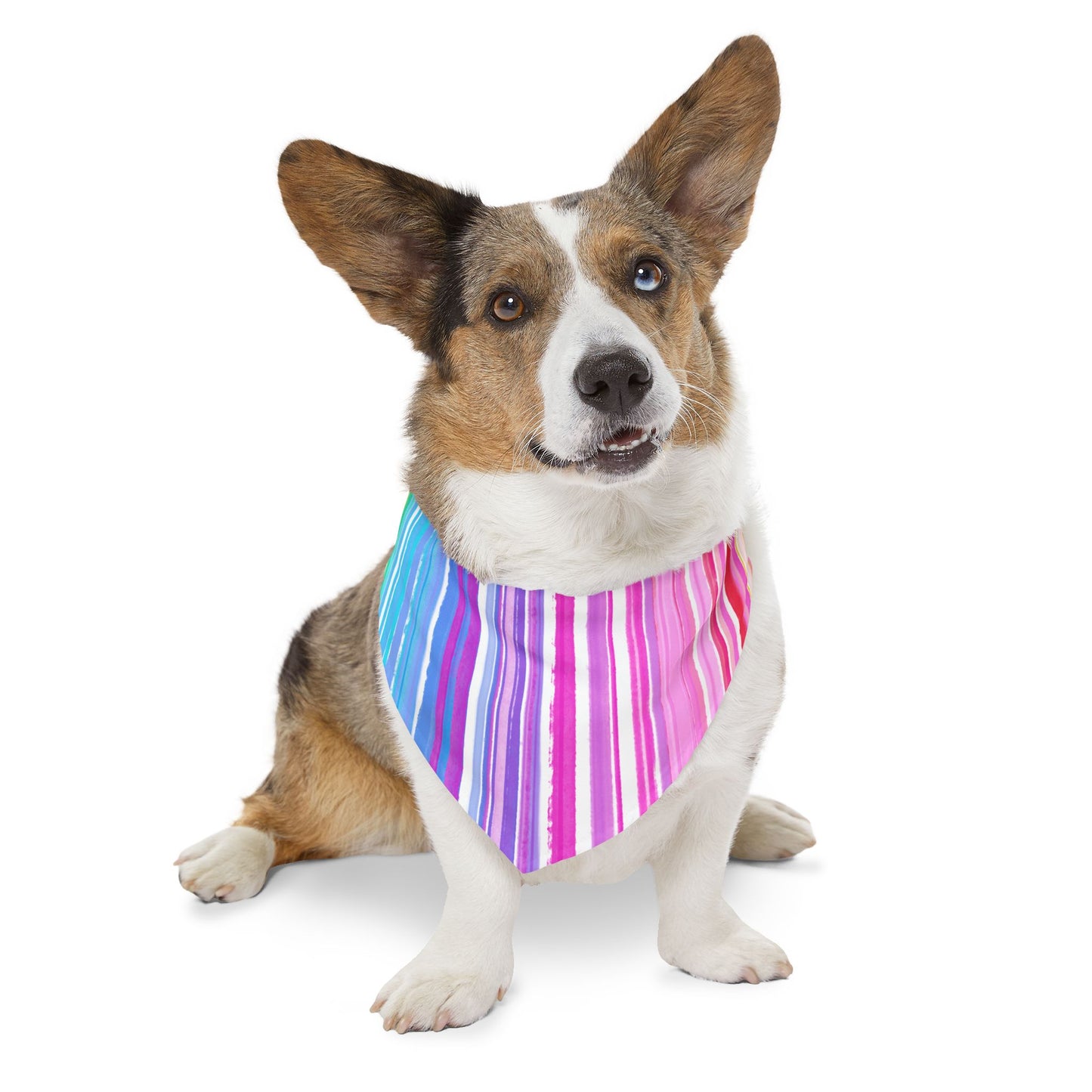 Pet Bandana Collar Dog Fun