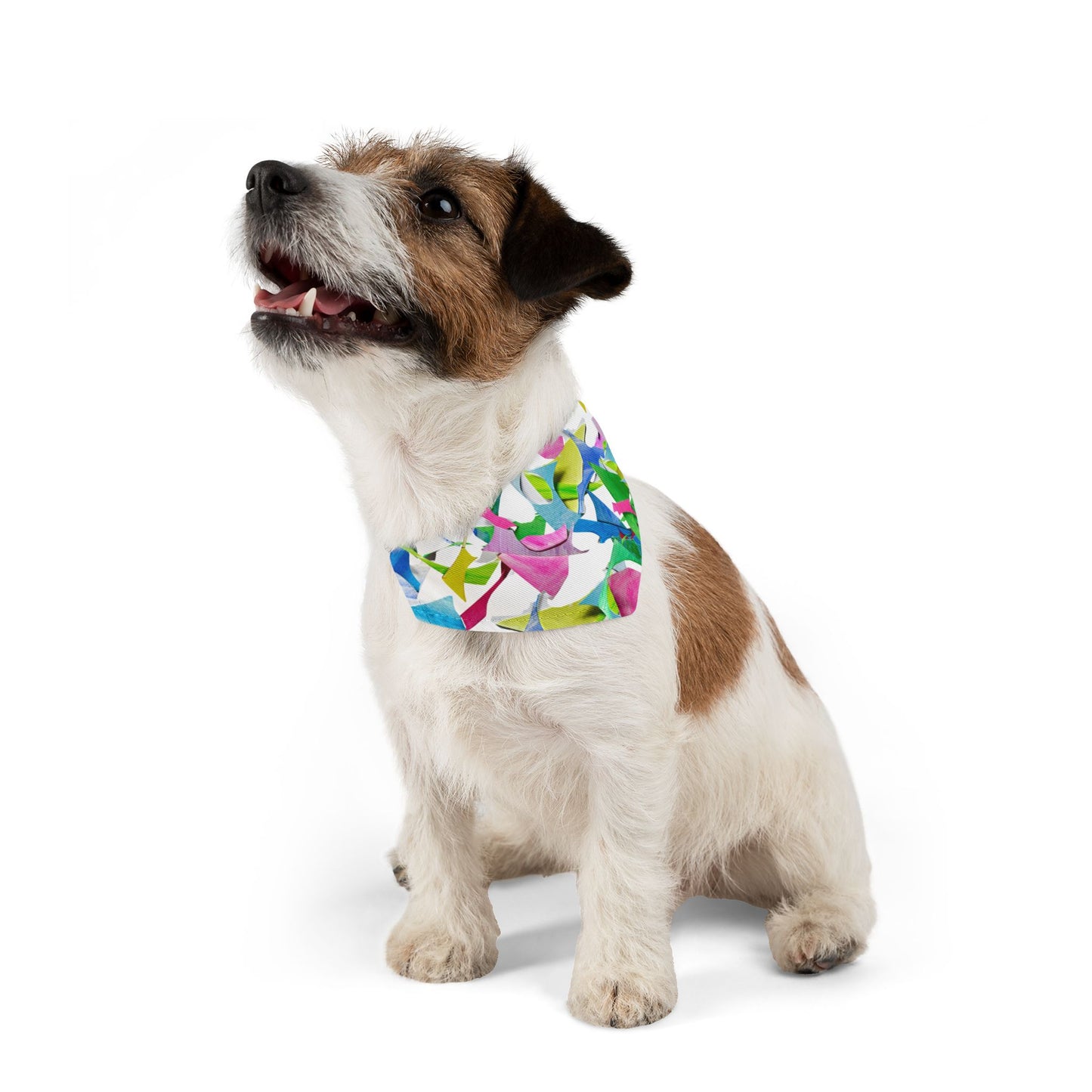 Pet Bandana Collar Dog Fun