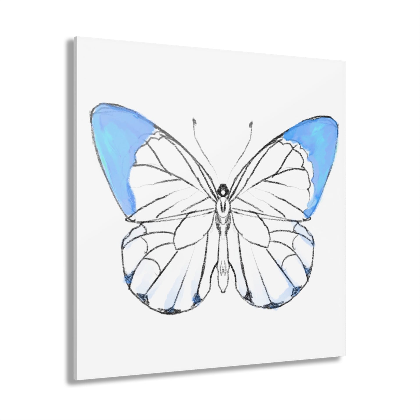 Chroma Acrylic Prints (French Cleat Hanging) light blue