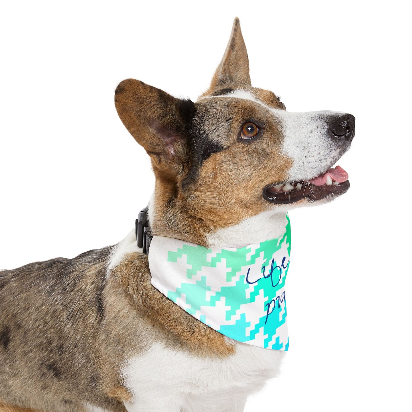 Pet Bandana Life needs purpose