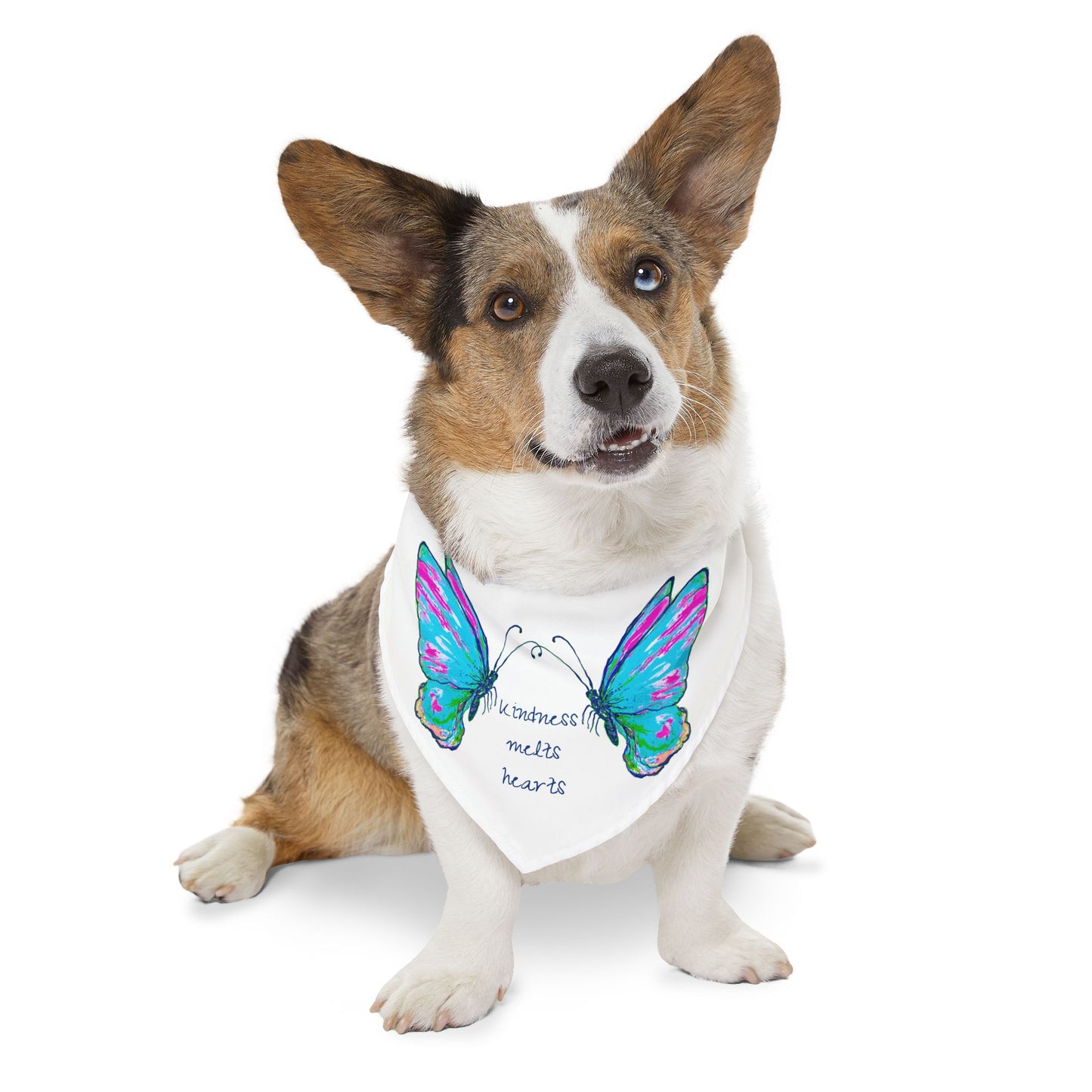 Pet Bandana Collar Kindness melts hearts