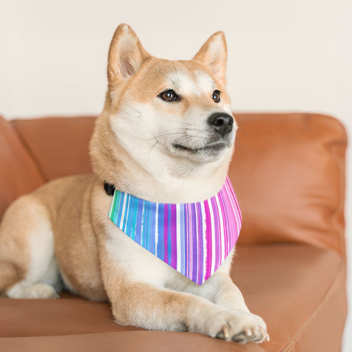 Pet Bandana Collar Dog Fun