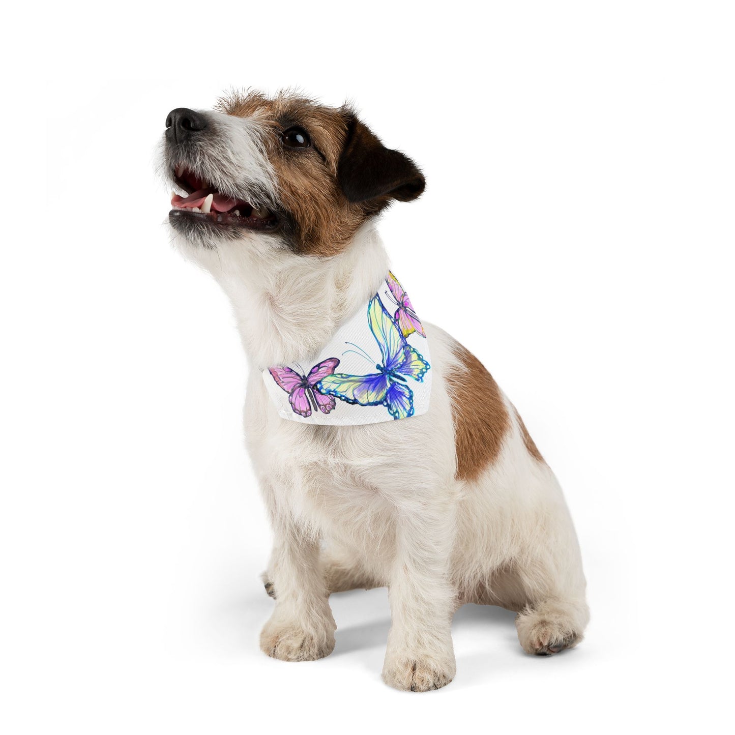 Pet Bandana Collar Colorful Flutter Charm
