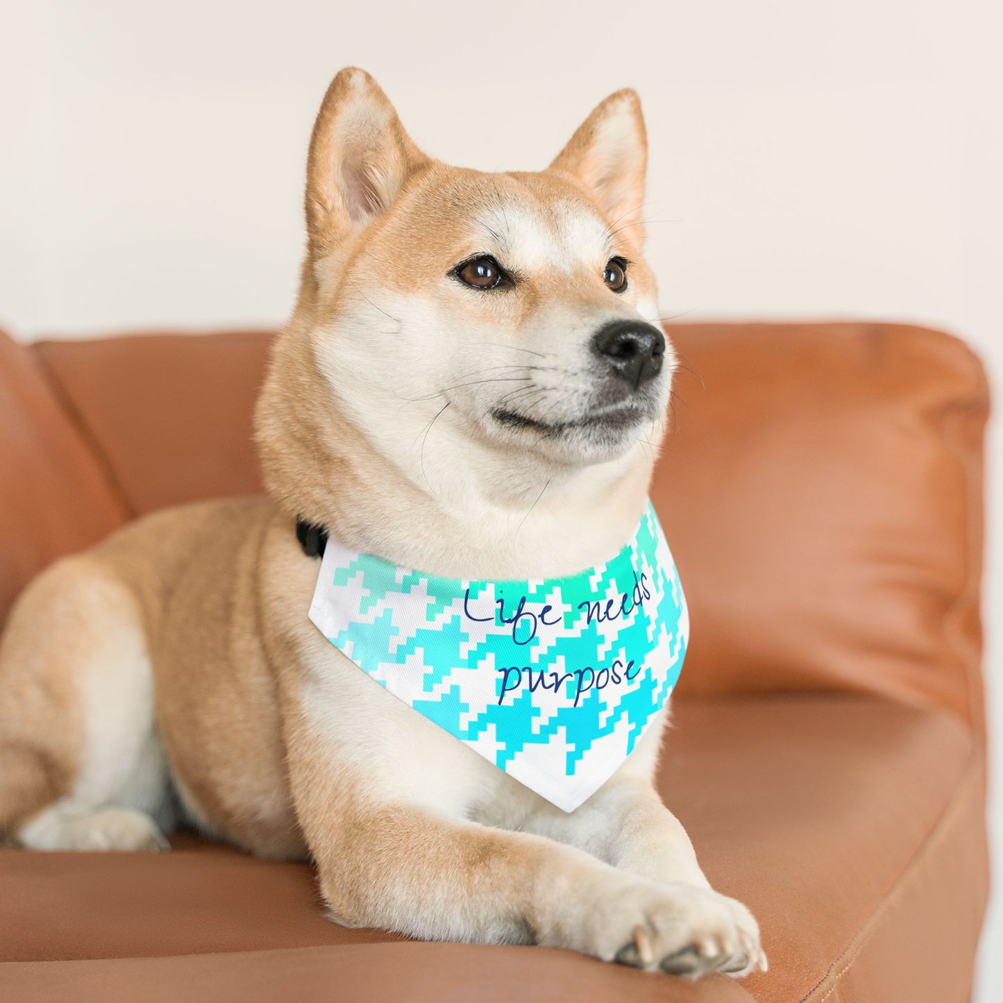 Pet Bandana Life needs purpose
