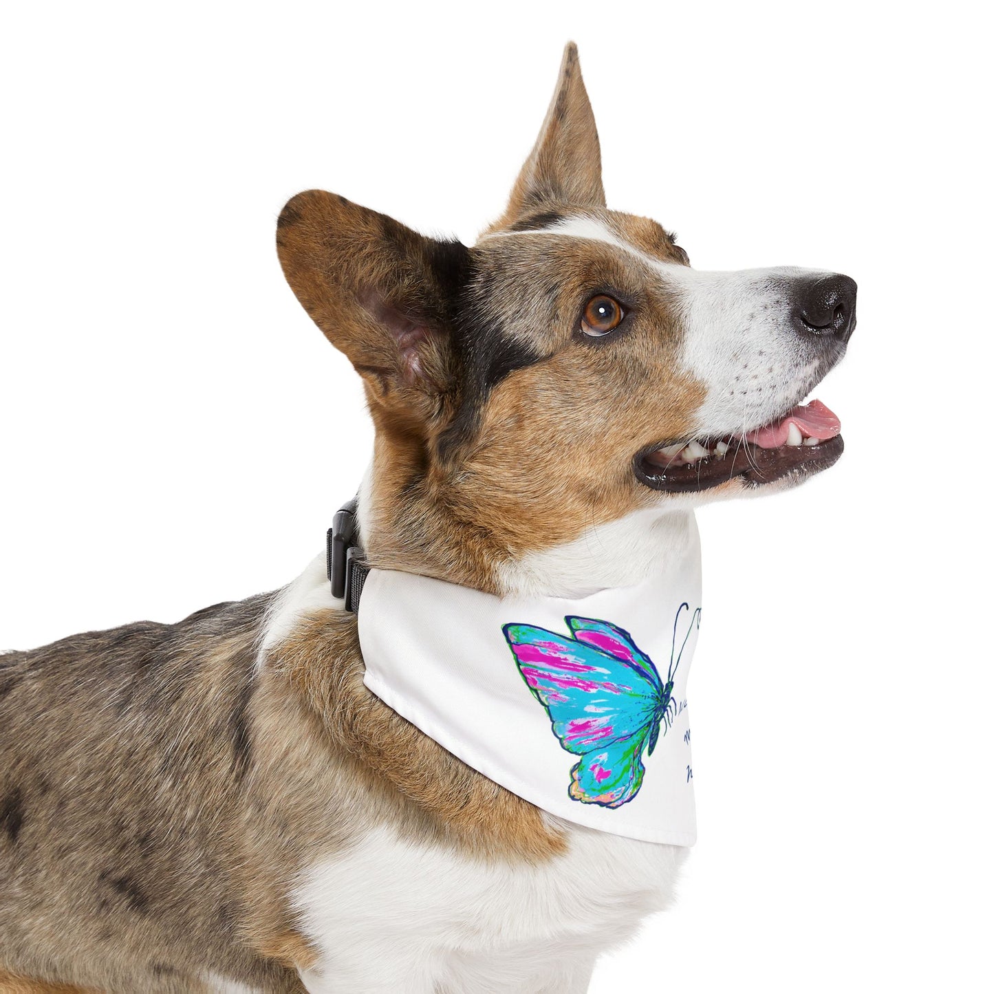 Pet Bandana Collar Kindness melts hearts