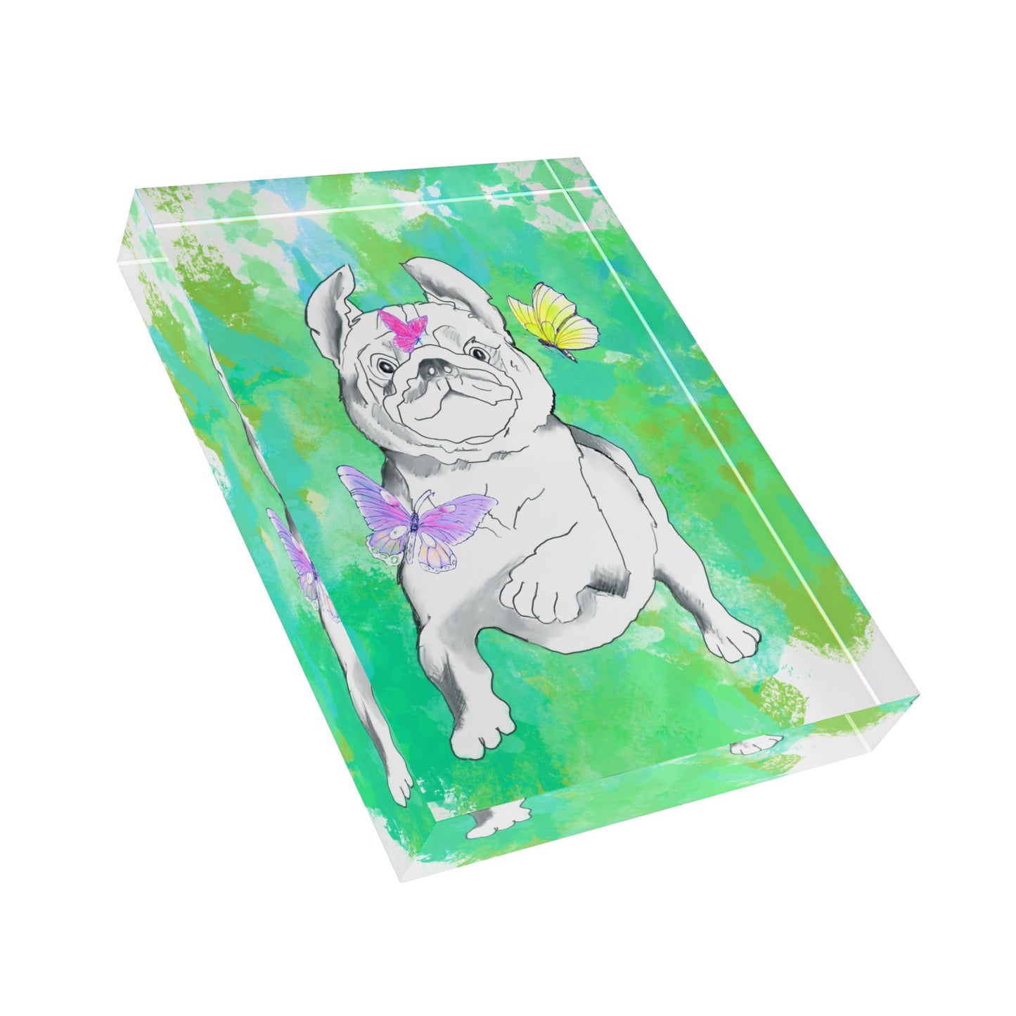 Dogi Flutter Acrylic Block