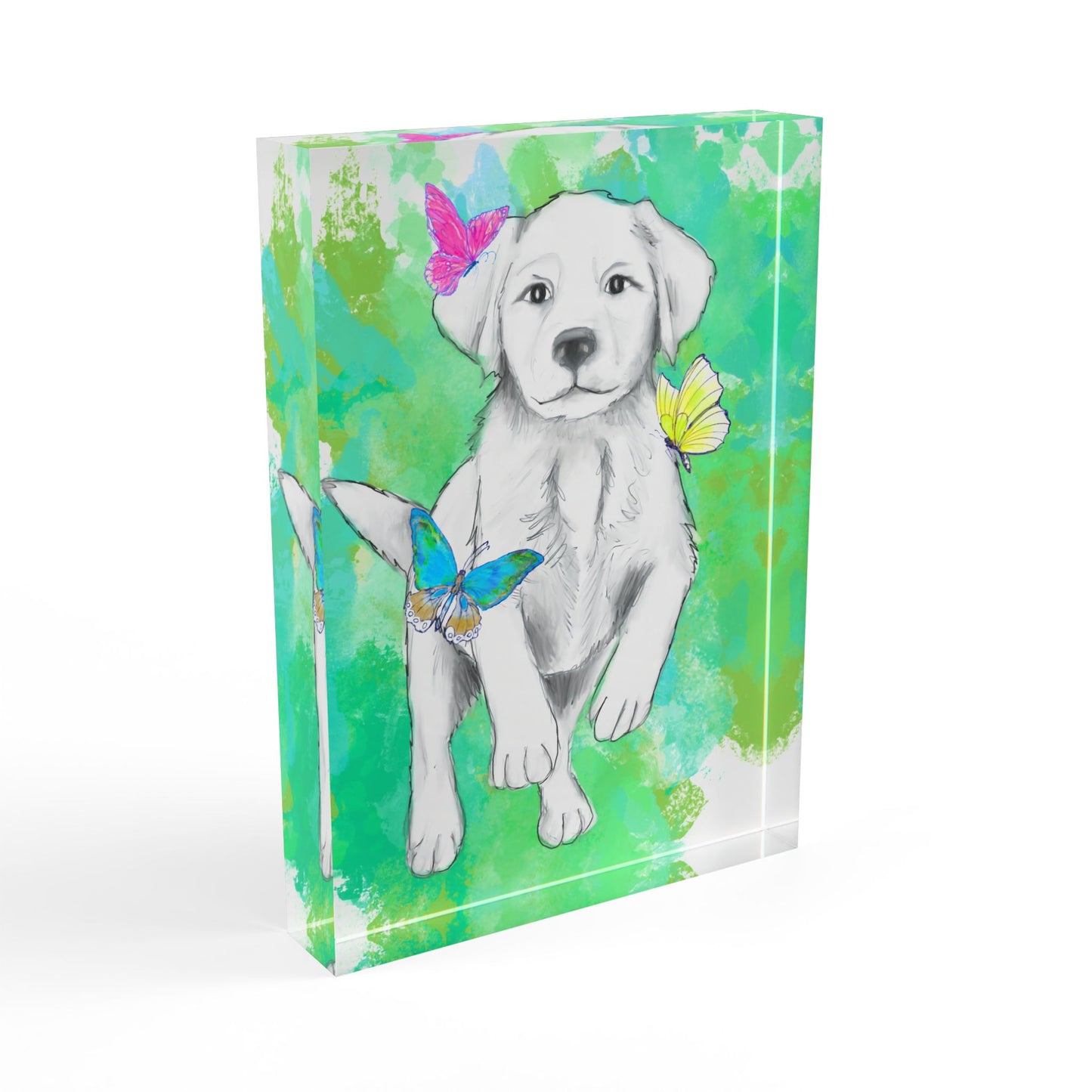 Dogi Flutter Acrylic Block