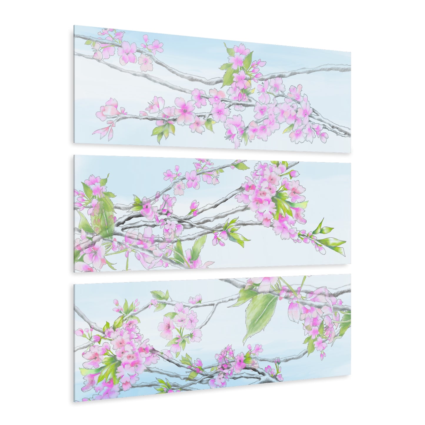 Cherry Blossoms Acrylic Prints (Triptych)
