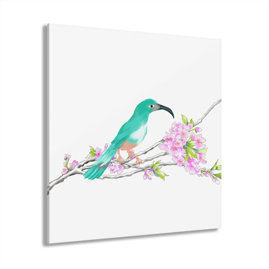 Wall Art Jolly Birds Acrylic Prints (French Cleat Hanging) blue green