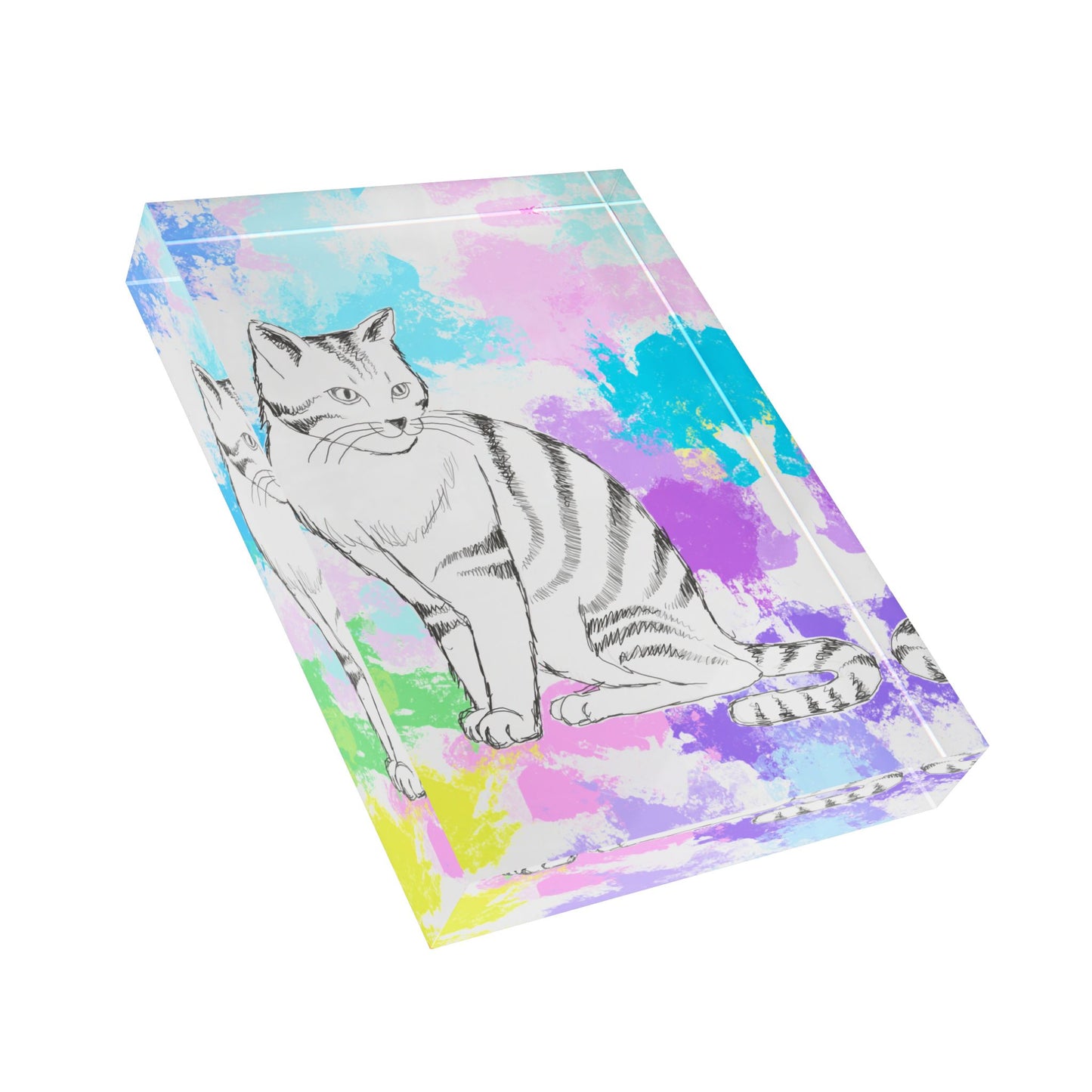 Art Decor Kitty Fun Acrylic Block