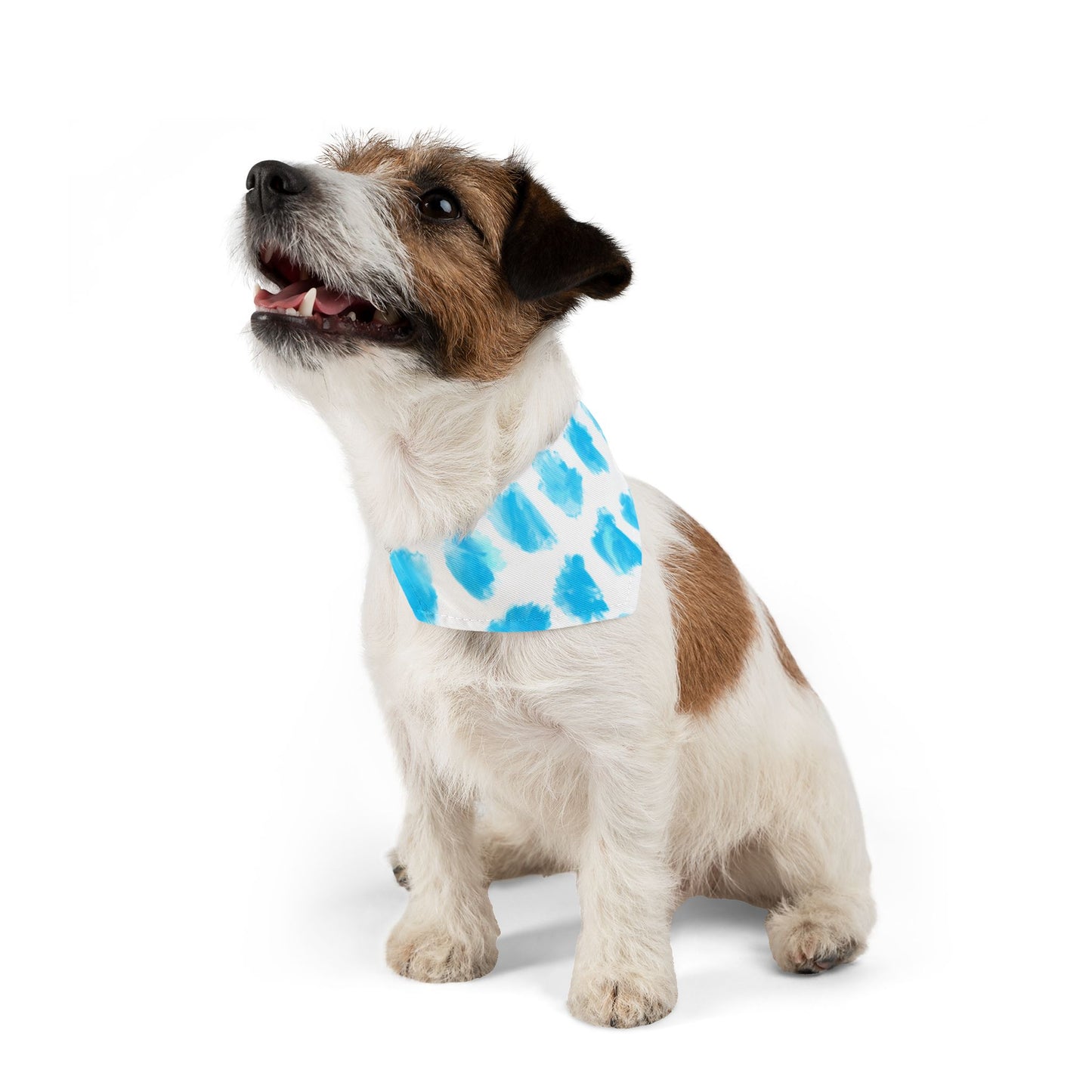 Pet Bandana Doggy Fun