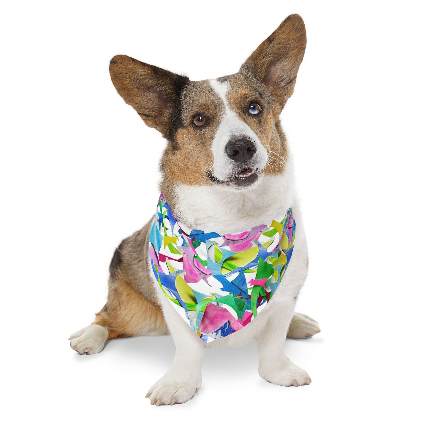 Pet Bandana Collar Dog Fun