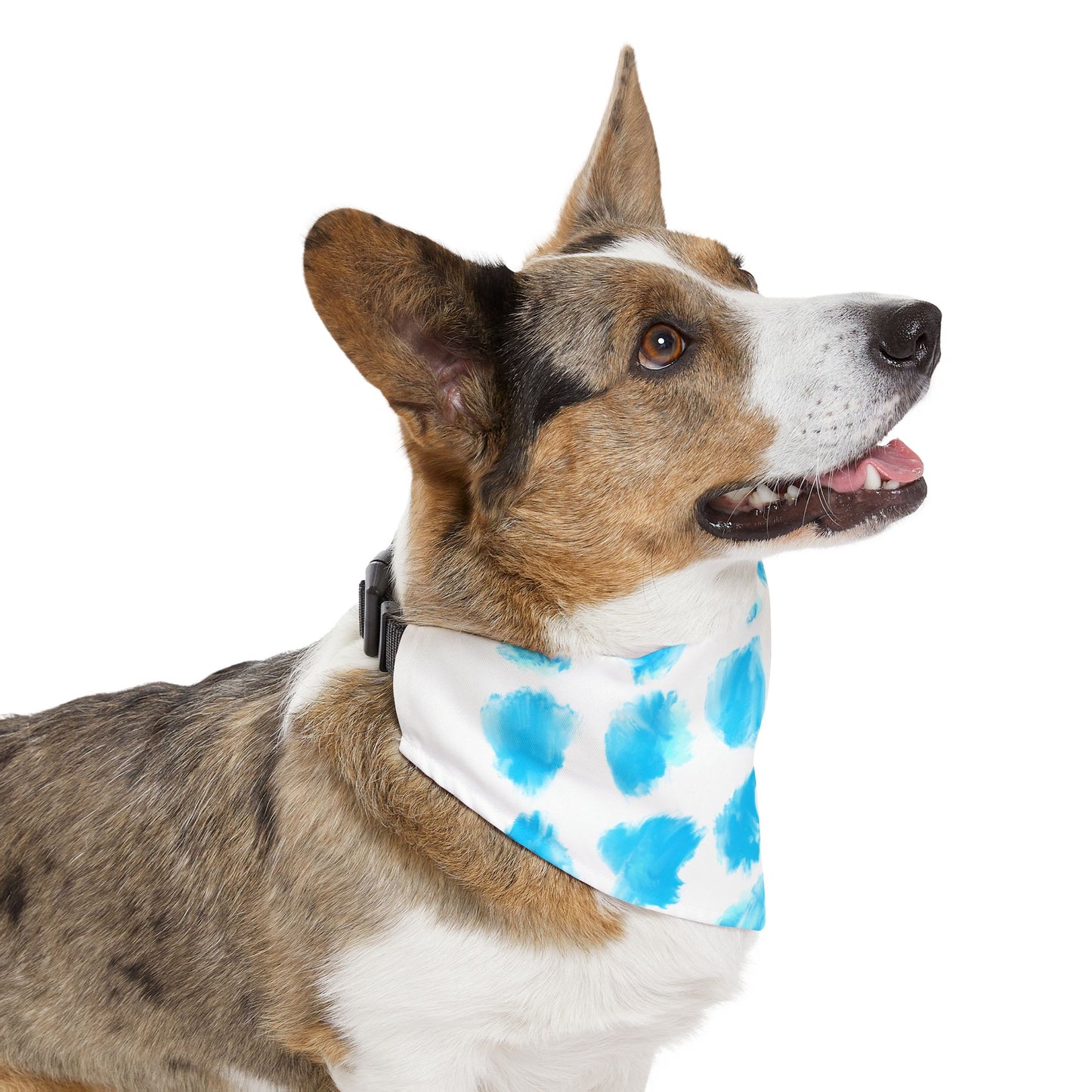 Pet Bandana Doggy Fun