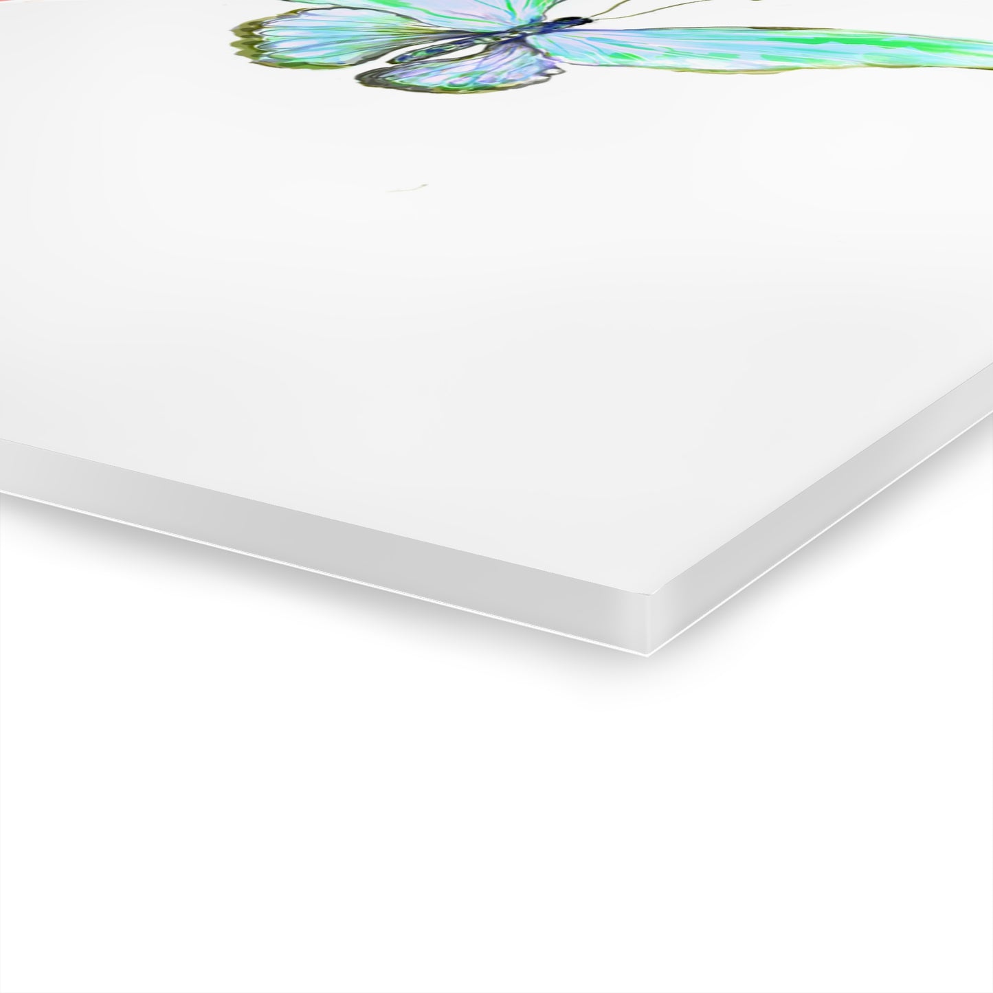 Blossom Glide Acrylic Prints B (French Cleat Hanging)