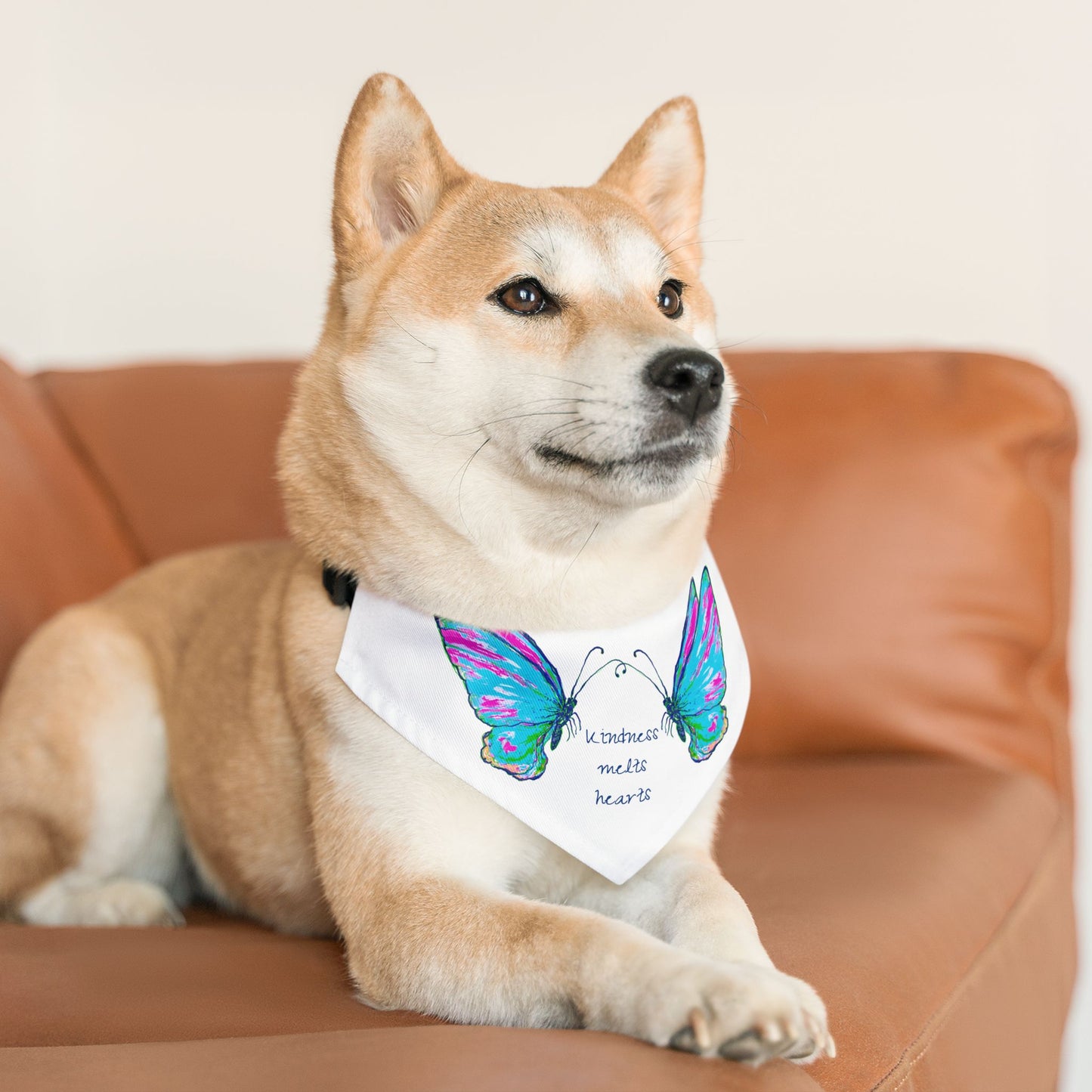 Pet Bandana Collar Kindness melts hearts