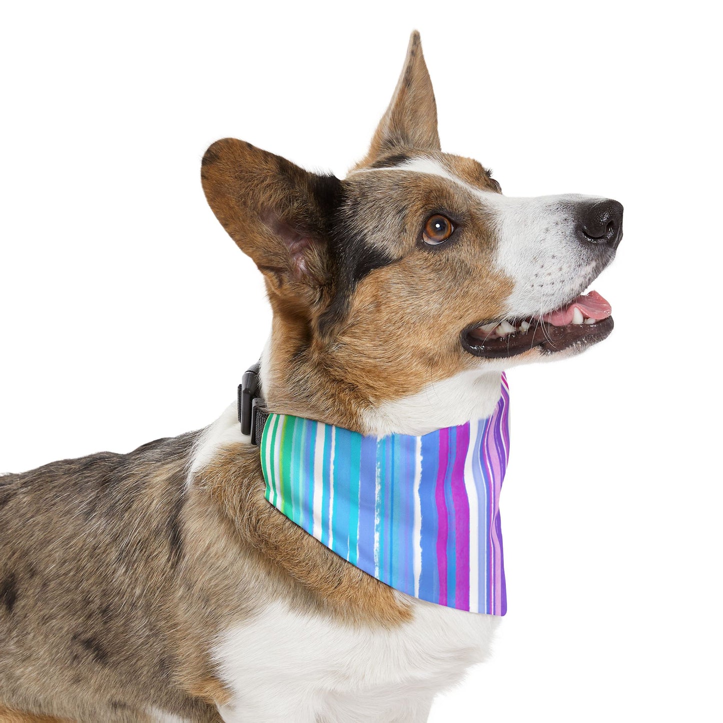 Pet Bandana Collar Dog Fun