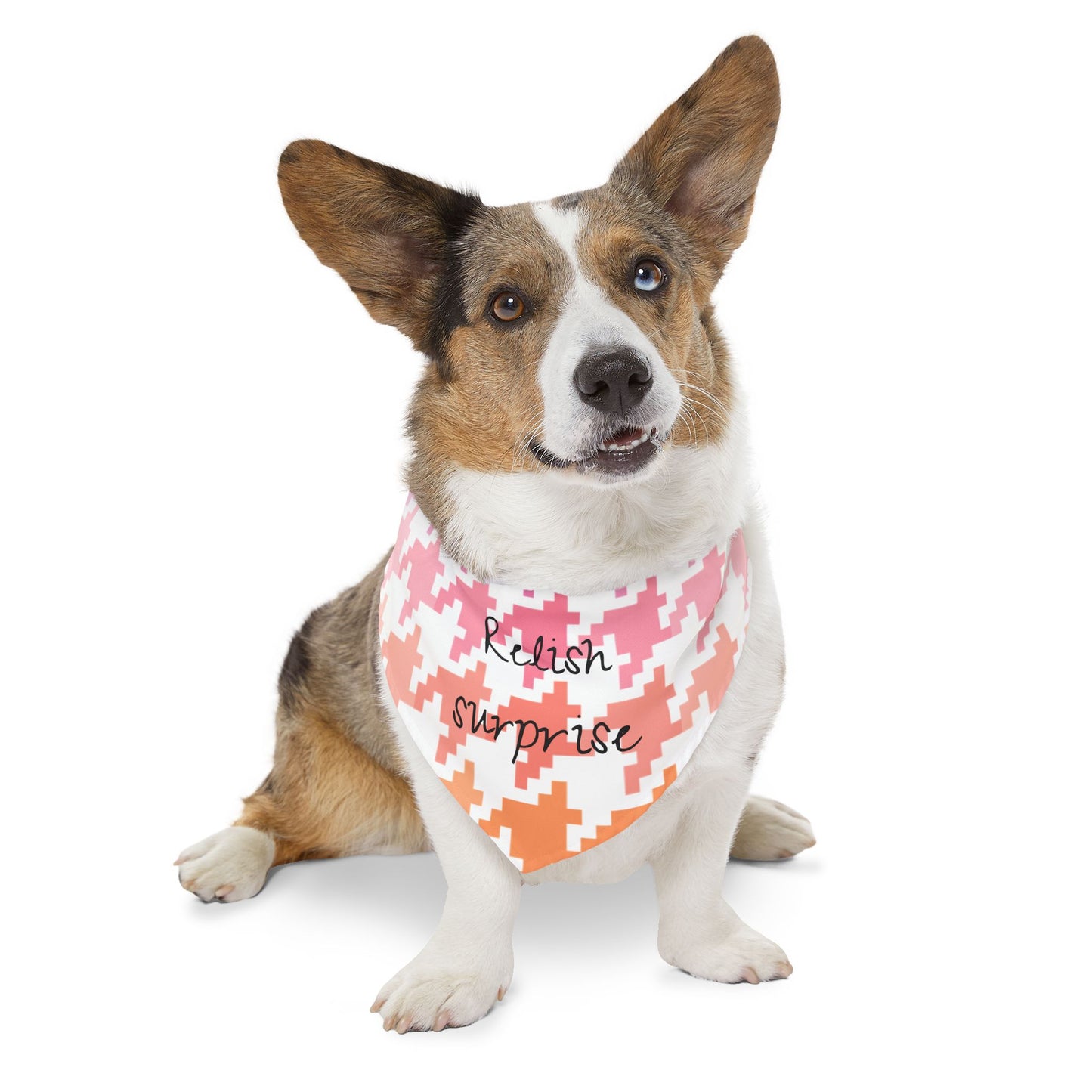 Pet Bandana Relish surprise
