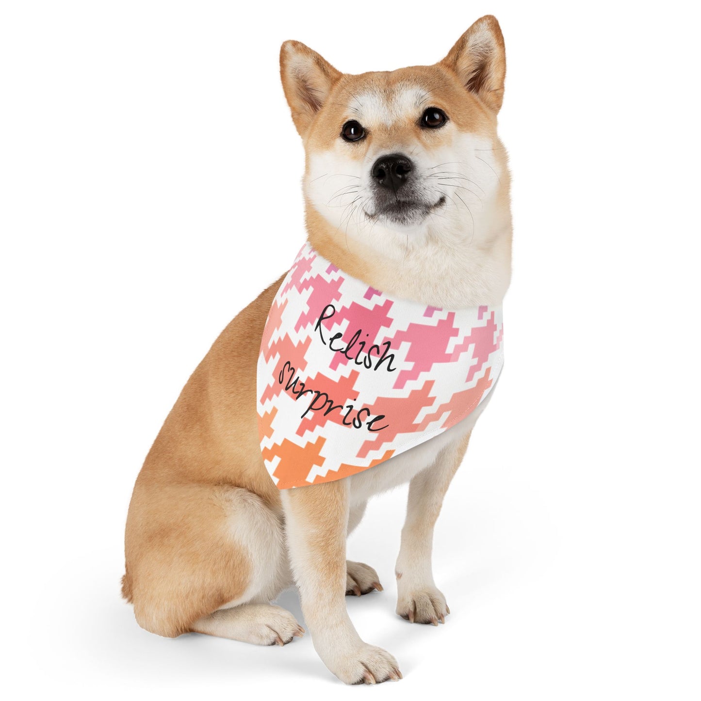 Pet Bandana Relish surprise