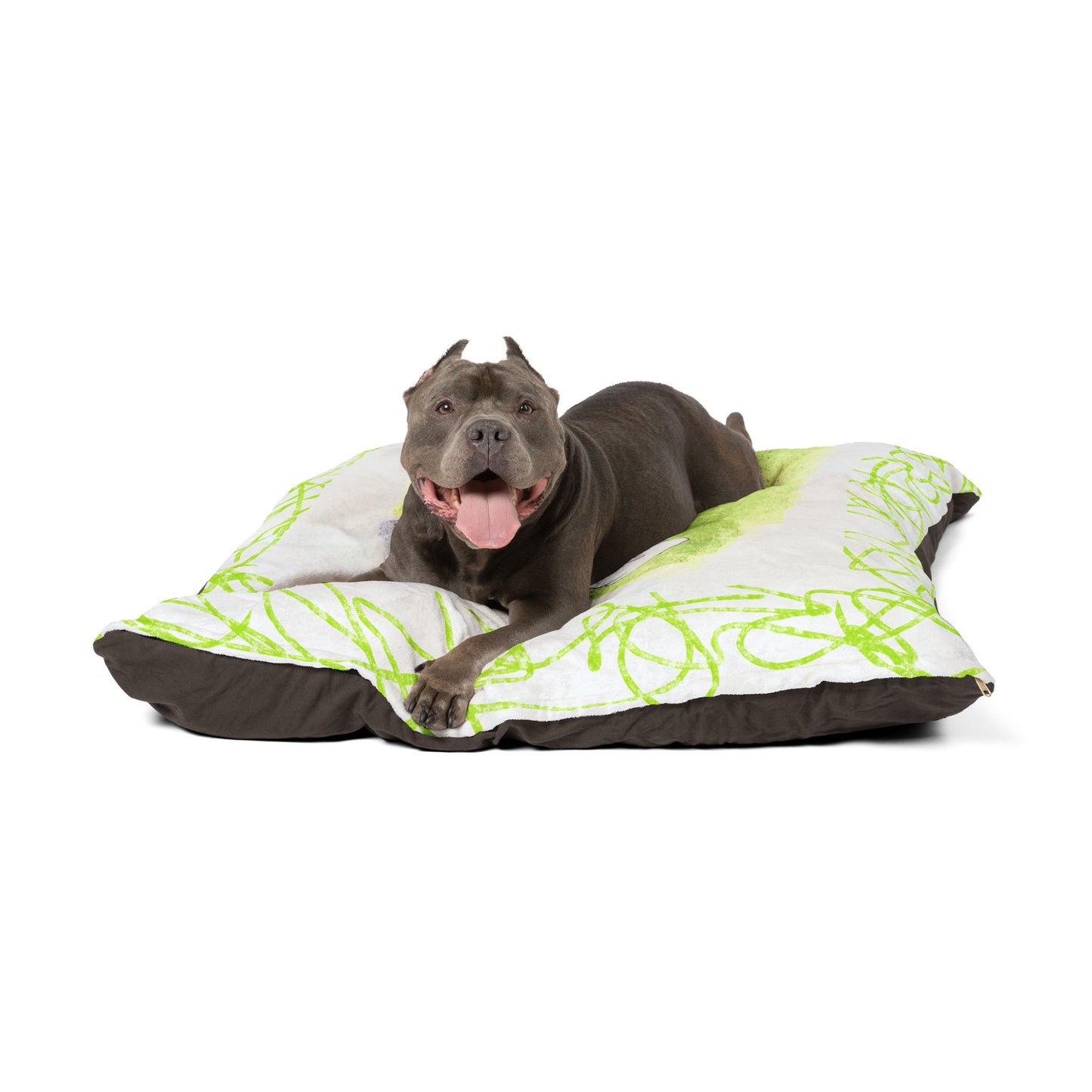 Pet Beds Oscar Dog Fun