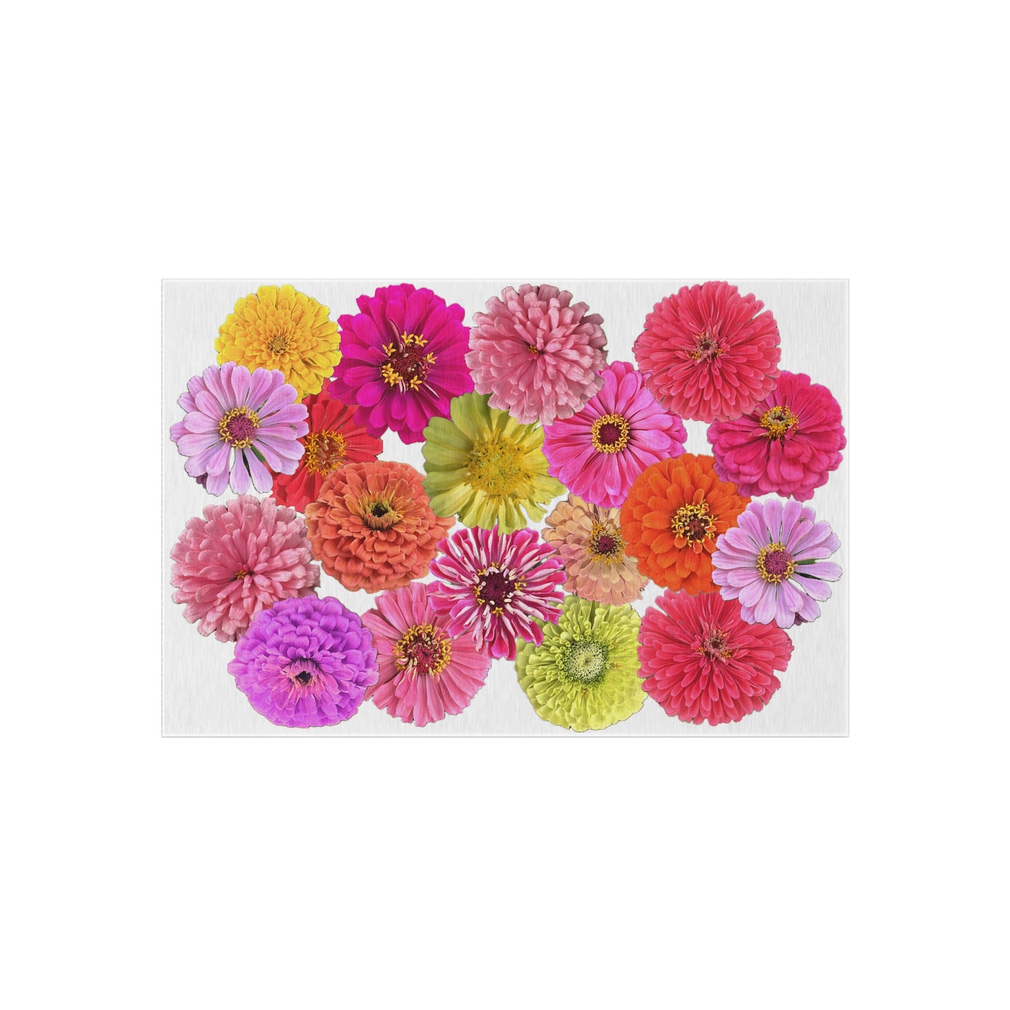 Zinnia Indoor/Outdoor rug