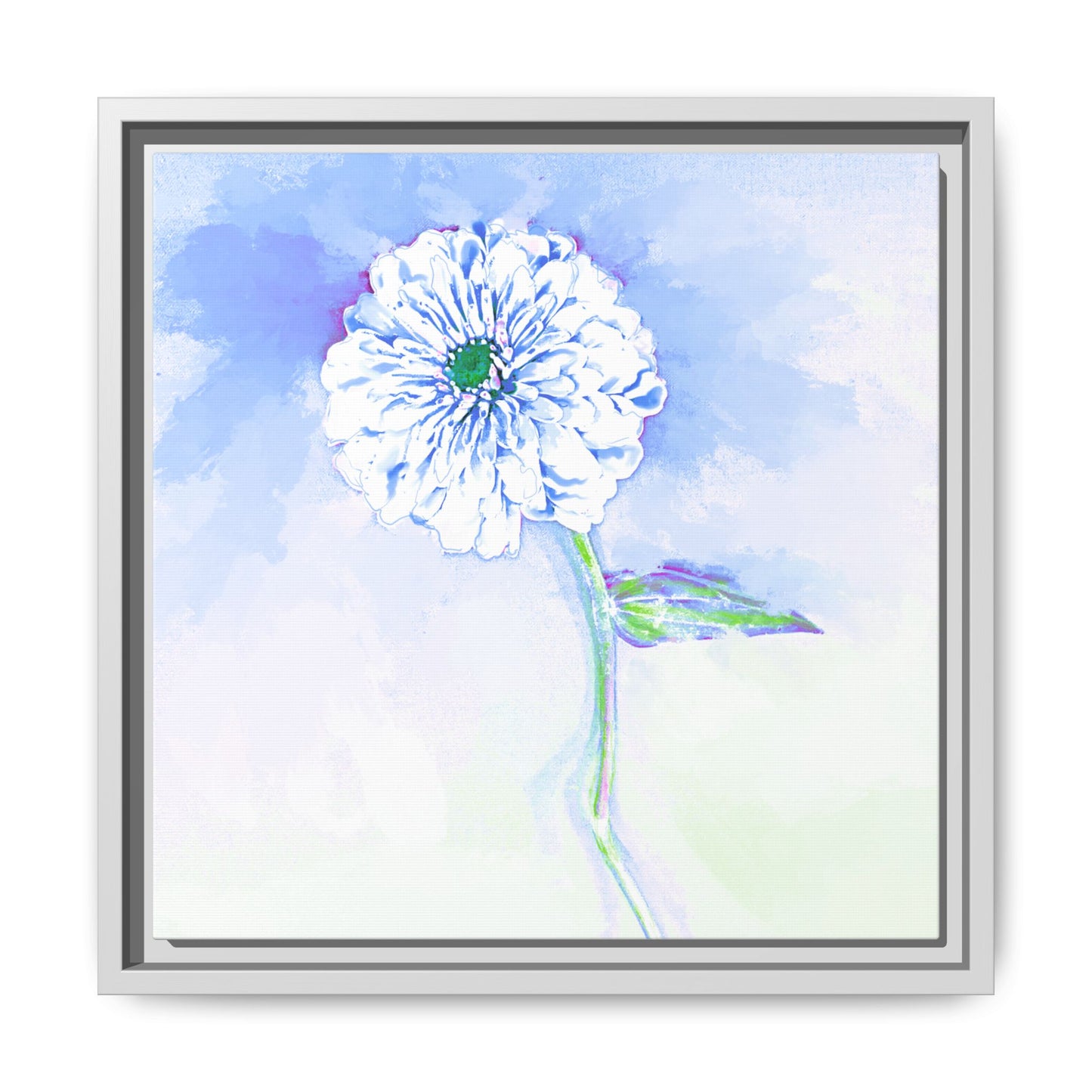 Zinnia Color Splash Matte Canvas Soft Blue Framed