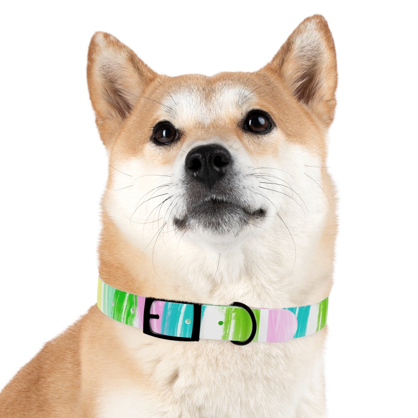 Dog Collars Watercolor Swoosh