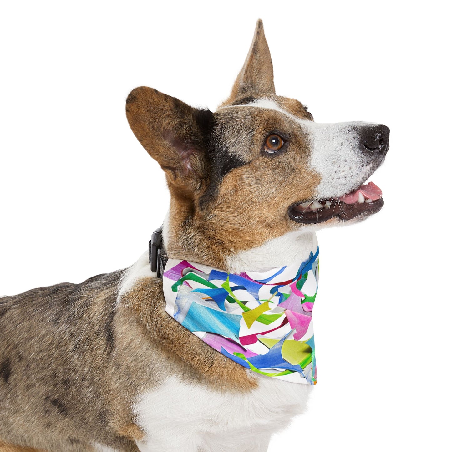 Pet Bandana Collar Dog Fun