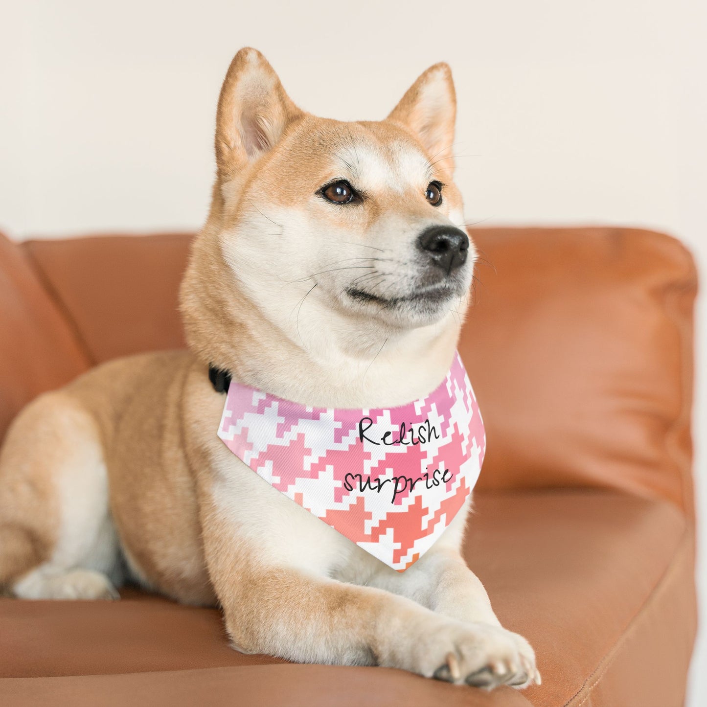 Pet Bandana Relish surprise