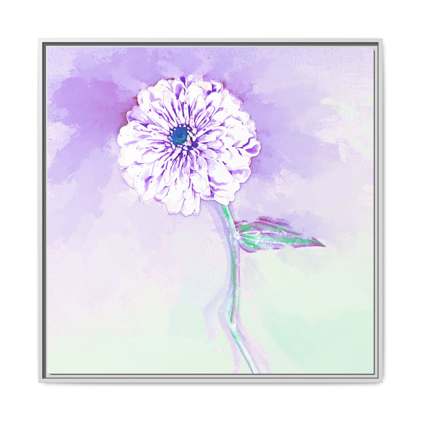Zinnia Color Splash Matte Canvas Lilac Framed