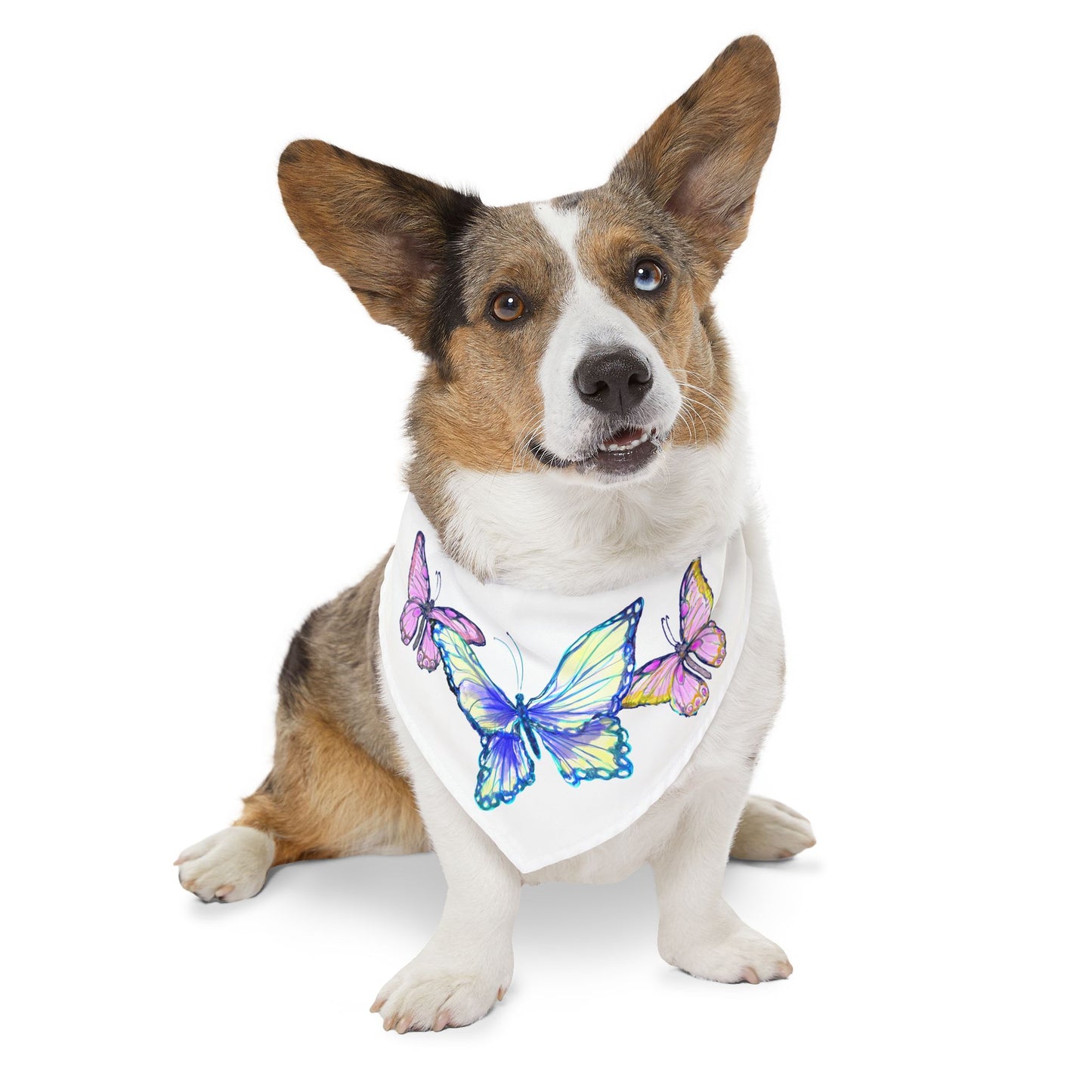 Pet Bandana Collar Colorful Flutter Charm