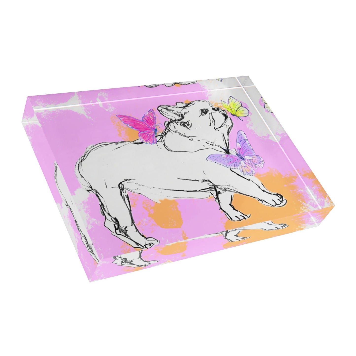 Dogi Flutter Acrylic Block