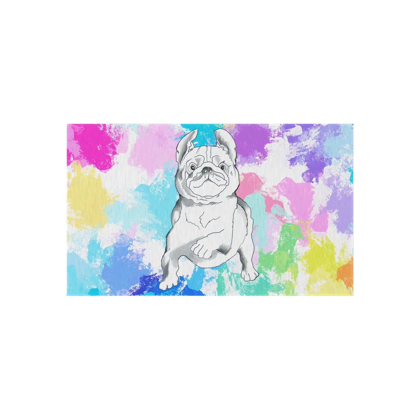 Indoor/Outdoor Rugs Color Dog Splash