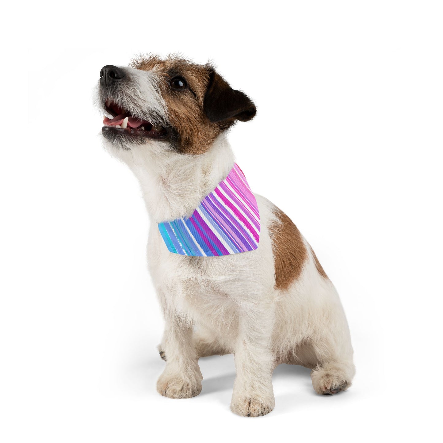 Pet Bandana Collar Dog Fun