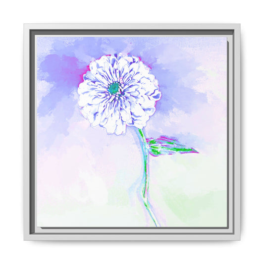 Wall Art Zinnia Color Splash Matte Canvas Periwinkle Framed