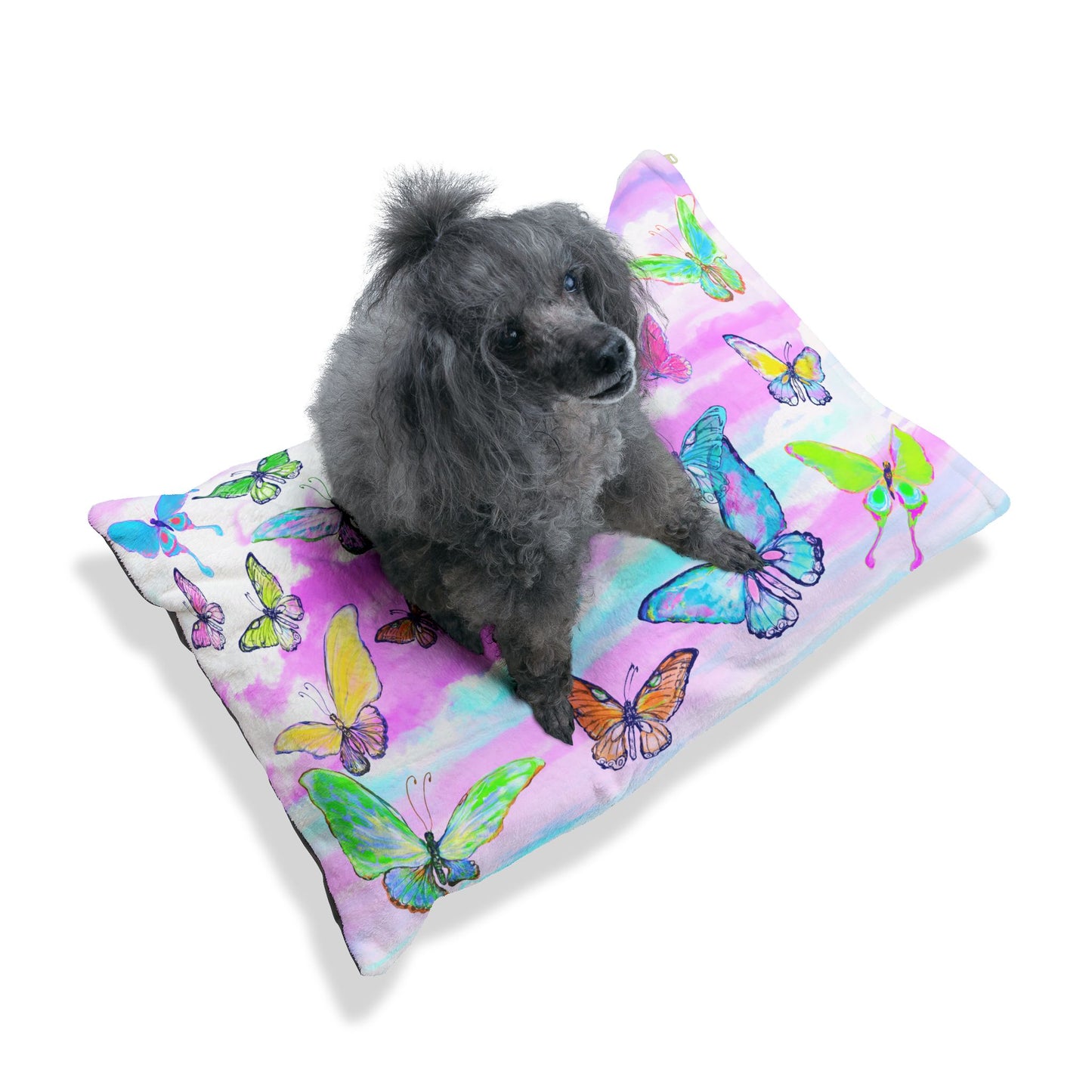 Jive Pet Bed Colorful Butterflies