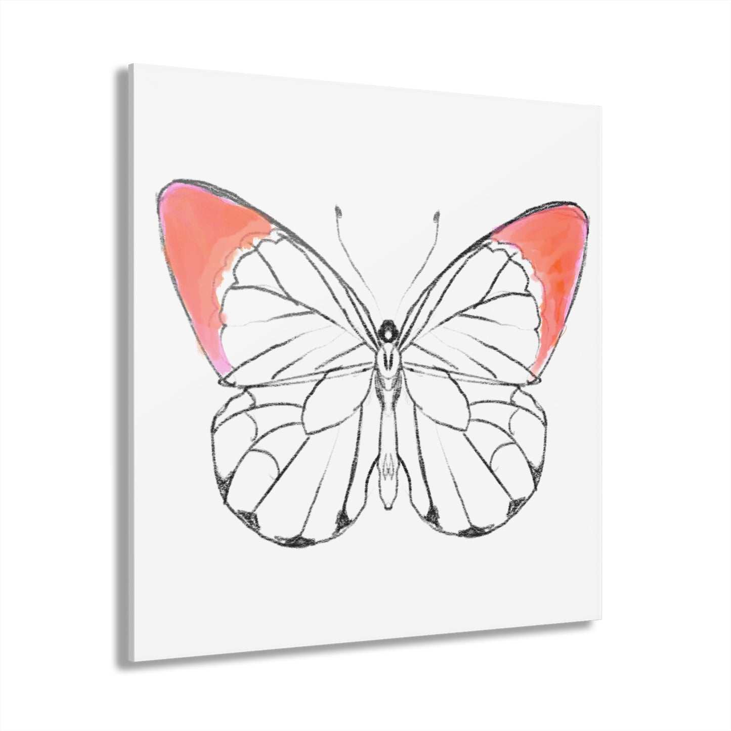 Chroma Acrylic Prints (French Cleat Hanging) coral