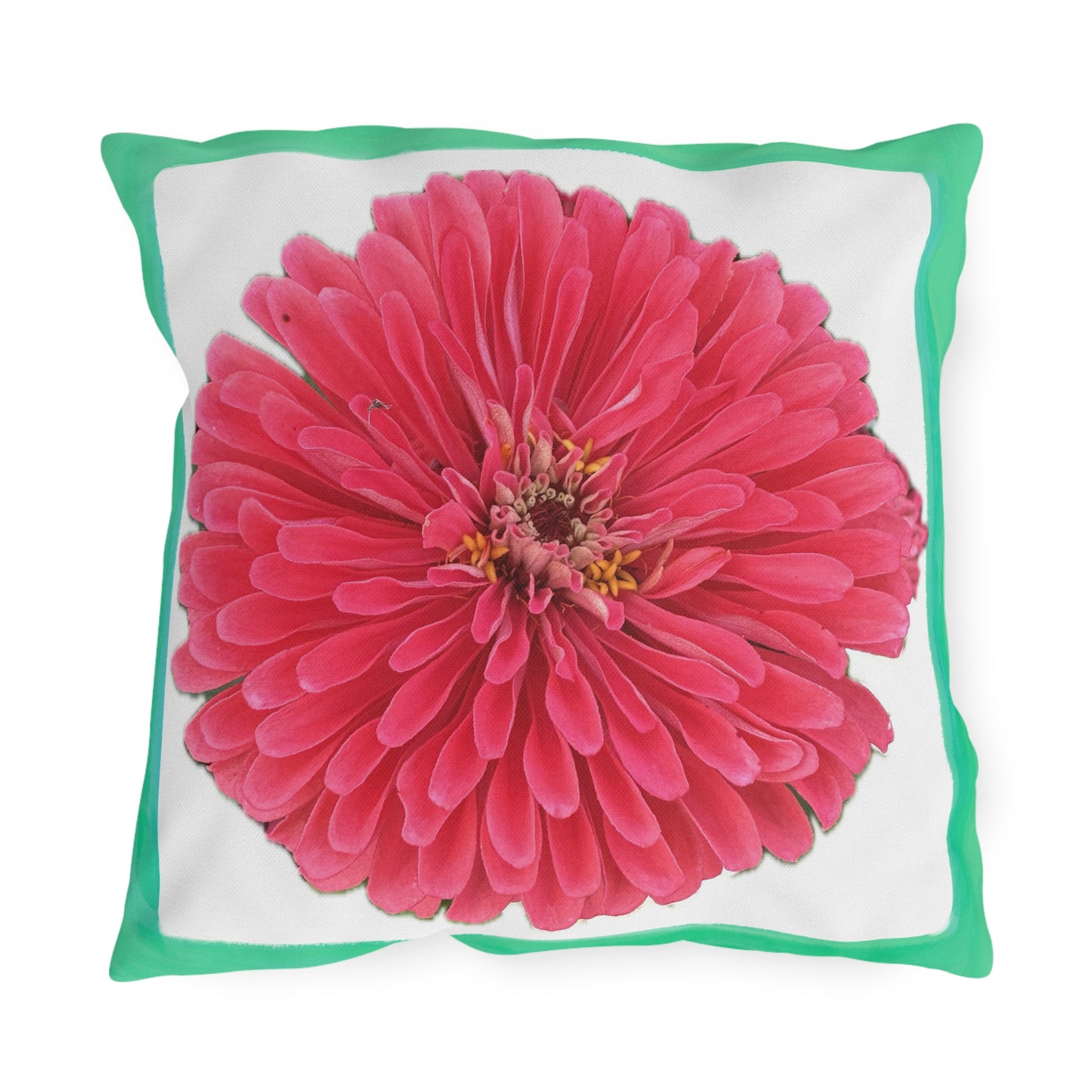 Zinnia Outdoor Pillows