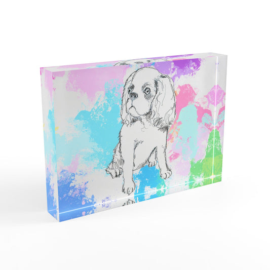 Dogi Fun Acrylic Block