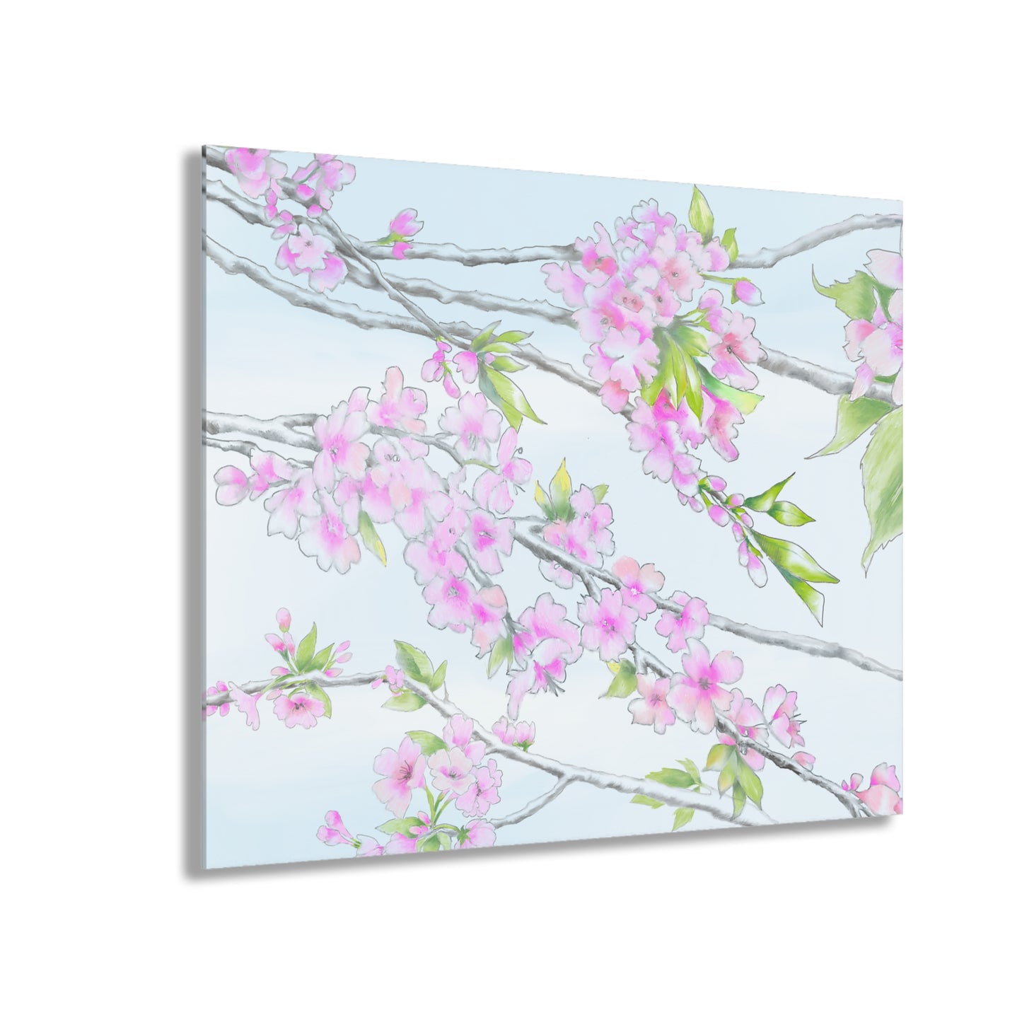 Cherry Blossoms -  Acrylic Prints (French Cleat Hanging)