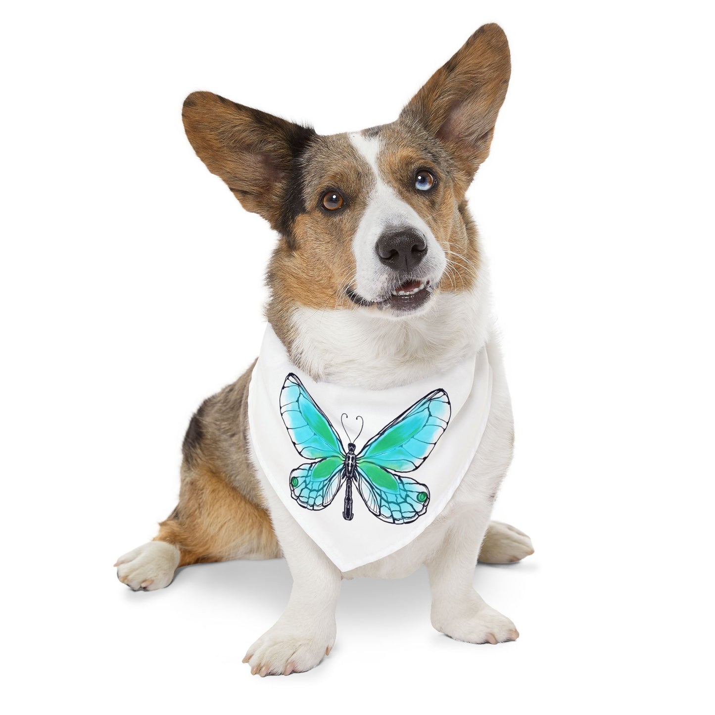 Pet Bandana Collar Colorful Flutter Charm