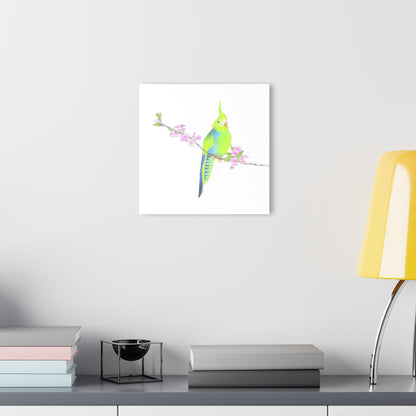 Jolly Birds Acrylic Prints (French Cleat Hanging) Green