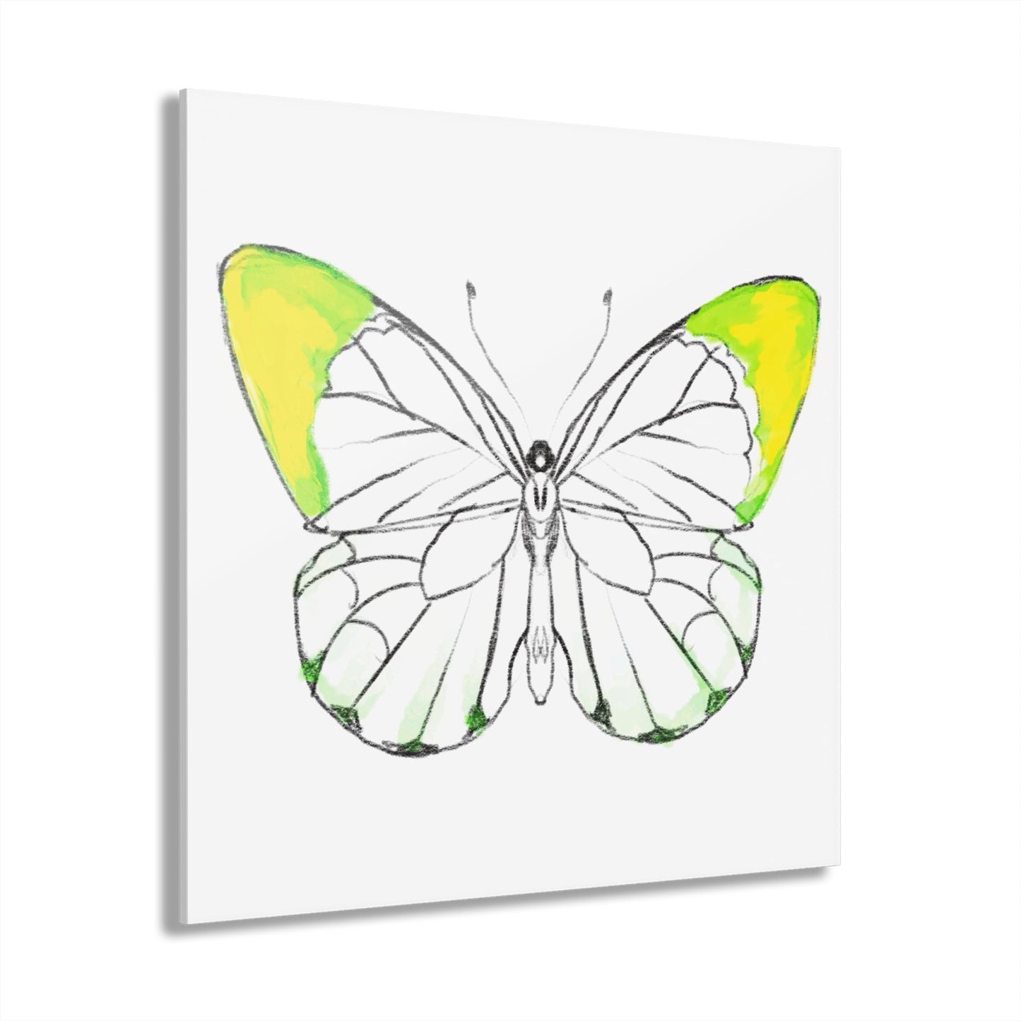 Chroma Acrylic Prints (French Cleat Hanging) lavender